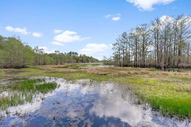 $649,900 | 12995 North Meridian Road, Tallahassee, FL 32312