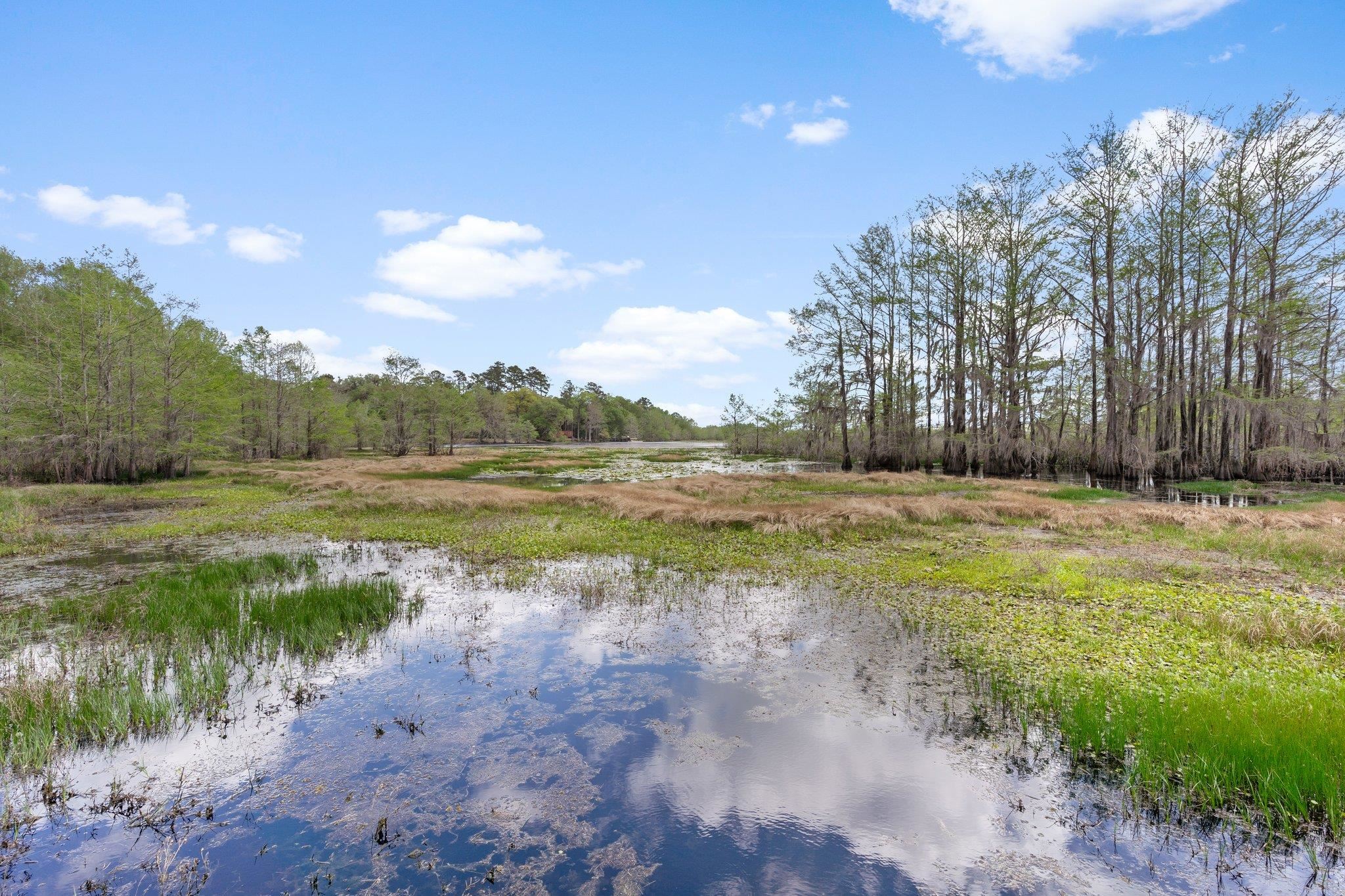 12995 North Meridian Road Tallahassee, FL 32312 - Photo 54 of 57 Gallery Image 54