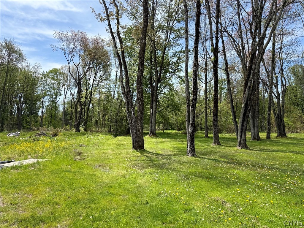 1460 Lamoy Road Sullivan, NY 13082 - Photo 13 of 15