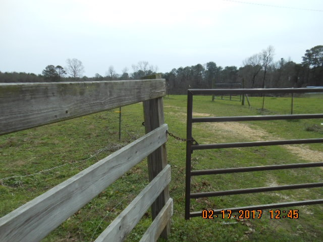 3995 Springfield Road Morton, MS 39117 - Photo 4 of 9 Photo 4
