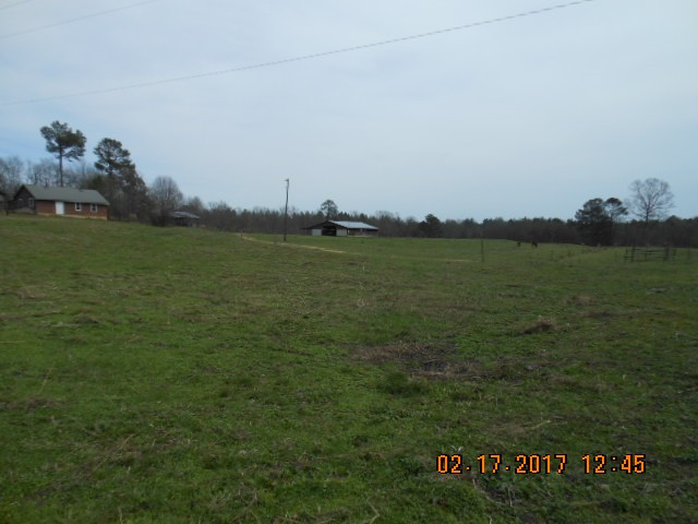 3995 Springfield Road Morton, MS 39117 - Photo 5 of 9 Photo 5