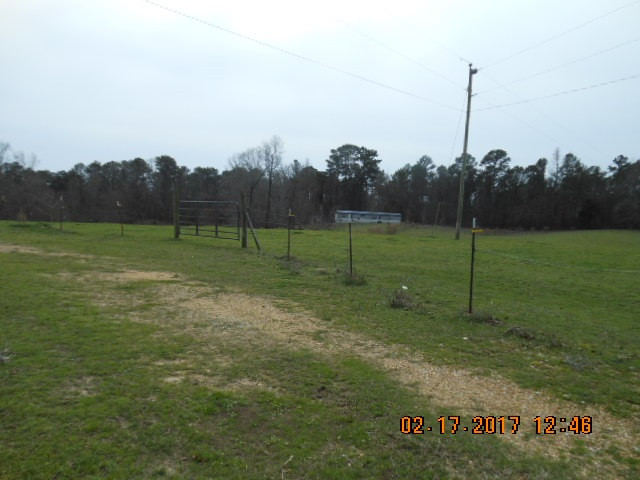 3995 Springfield Road Morton, MS 39117 - Photo 6 of 9 Photo 6