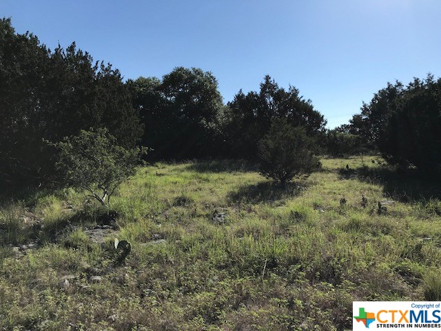 Lot 1178 Warbler Ln Spring Branch Spring Branch, TX 78070 - Photo 1 of 1 Gallery Image 1