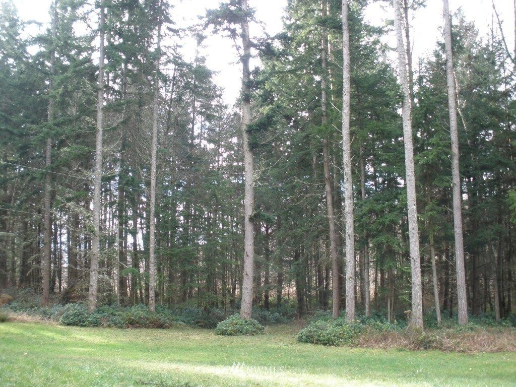 7864 Bailey Road Clinton, WA 98236 - Photo 4 of 11 Gallery Image 4