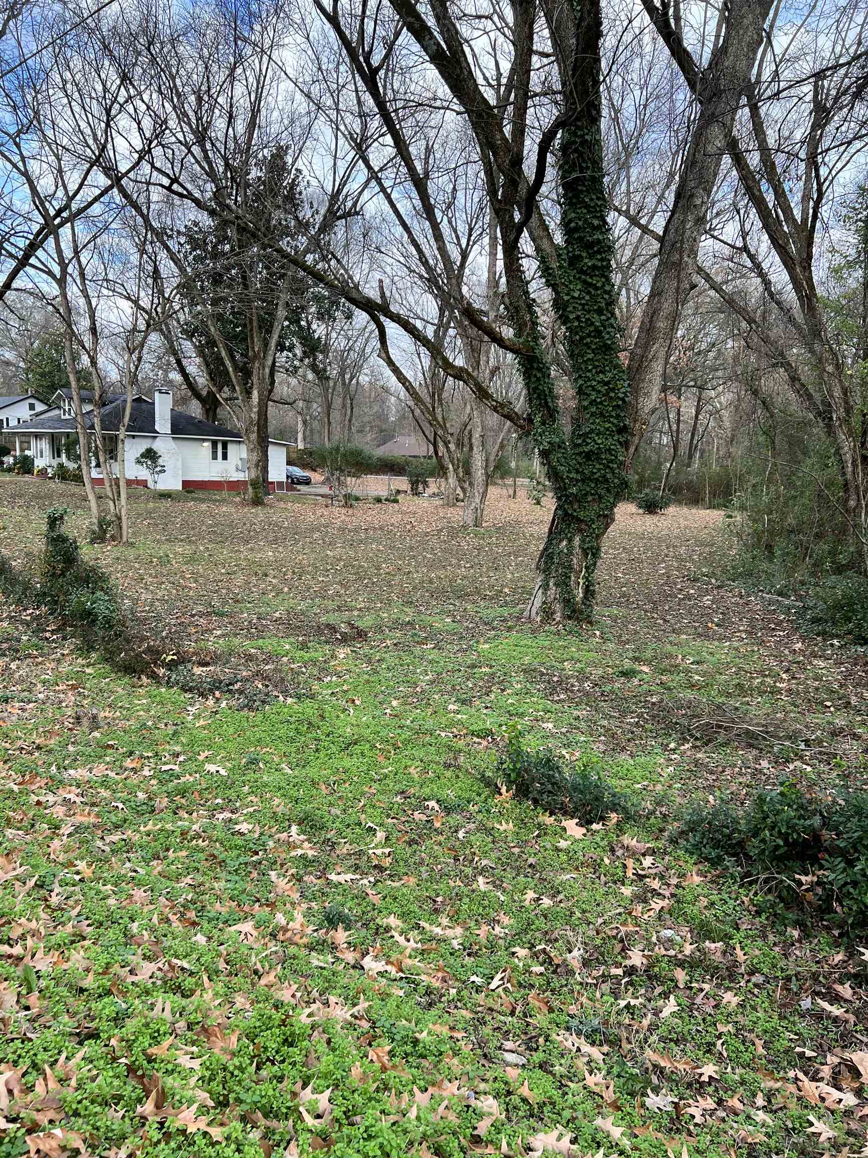 874 Hale Road Memphis, TN 38116 - Photo 14 of 15