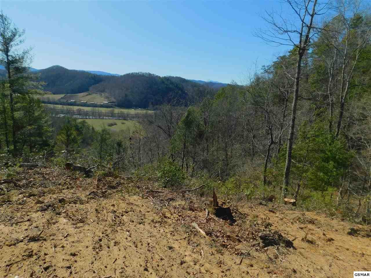 3466 Highway 25 Del Rio, TN 37727 - Photo 12 of 23