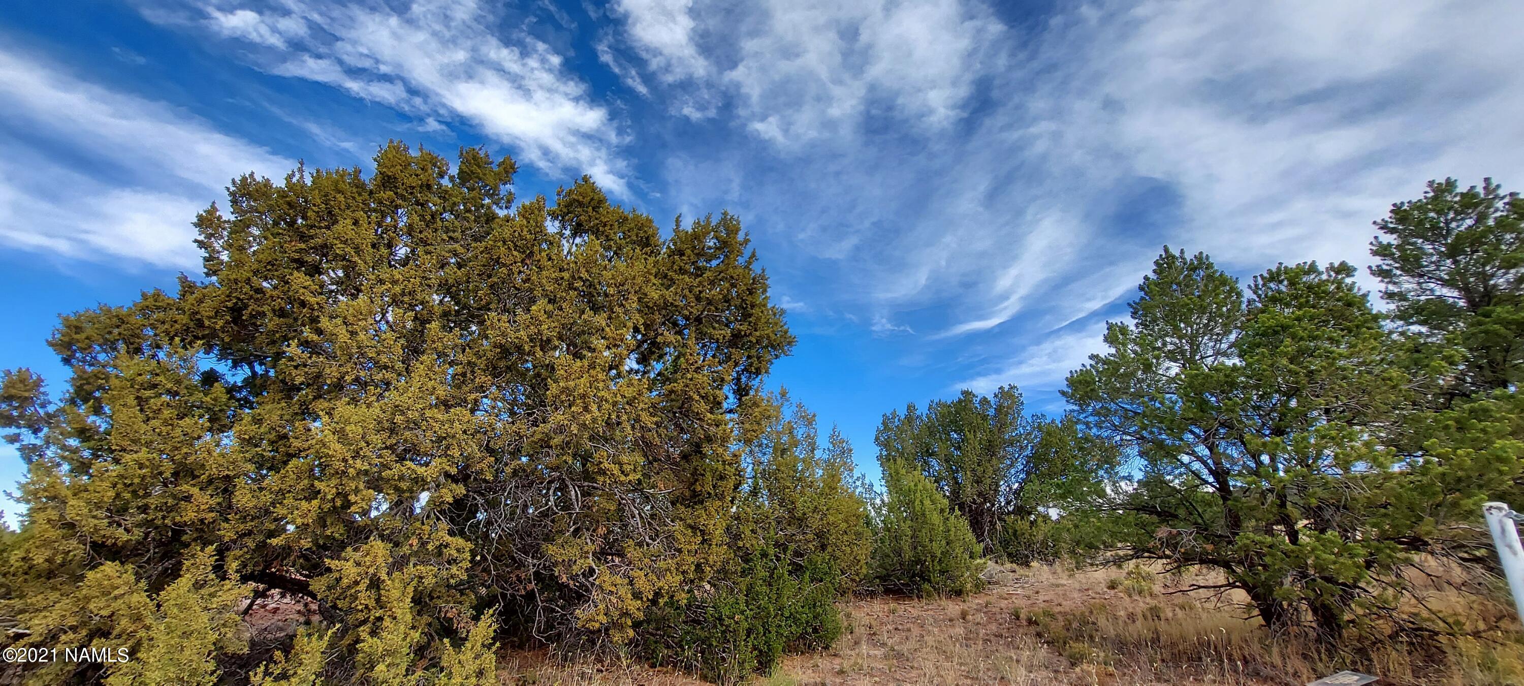 6707 North S Rim Ranch Road, Unit 255 Williams, AZ 86046 - Photo 5 of 63 20211102_103014