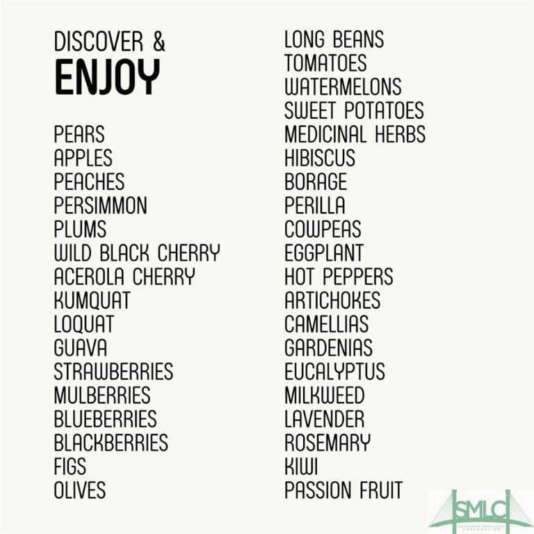 208 Cubbedge Drive Rincon, GA 31326 - Photo 46 of 46