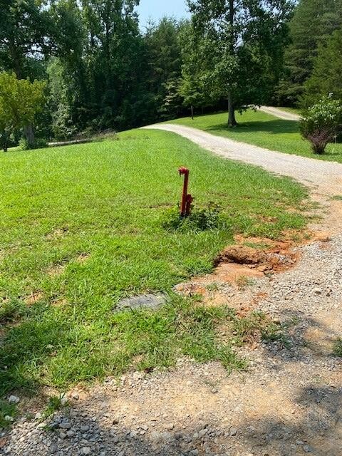 337 Hale Boat Dock Road Doyle, TN 38559 - Photo 11 of 12 Gallery Image 11