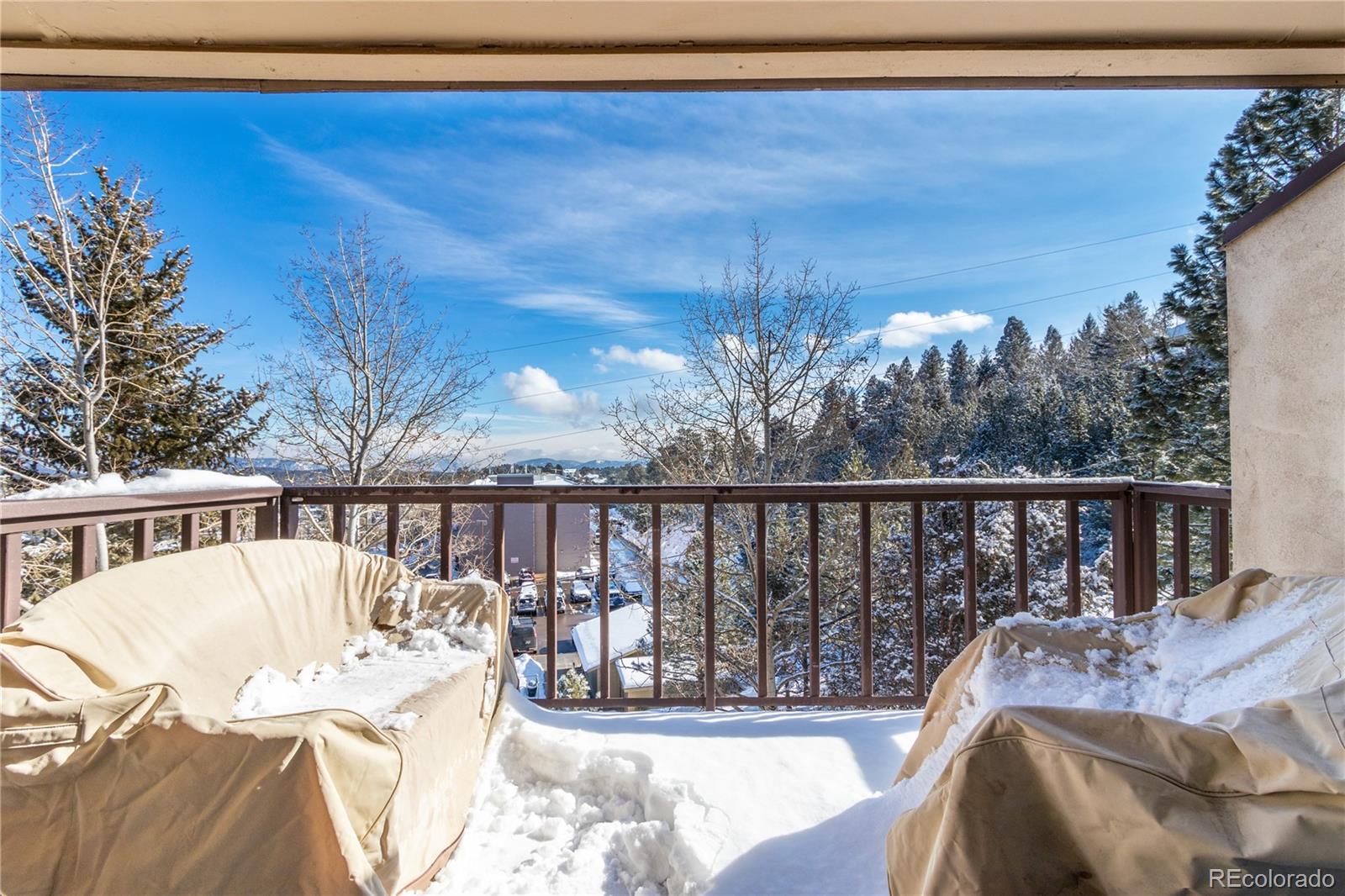 31270 John Wallace Road, Unit 303 Evergreen, CO 80439 - Photo 8 of 29 Gallery Image 8