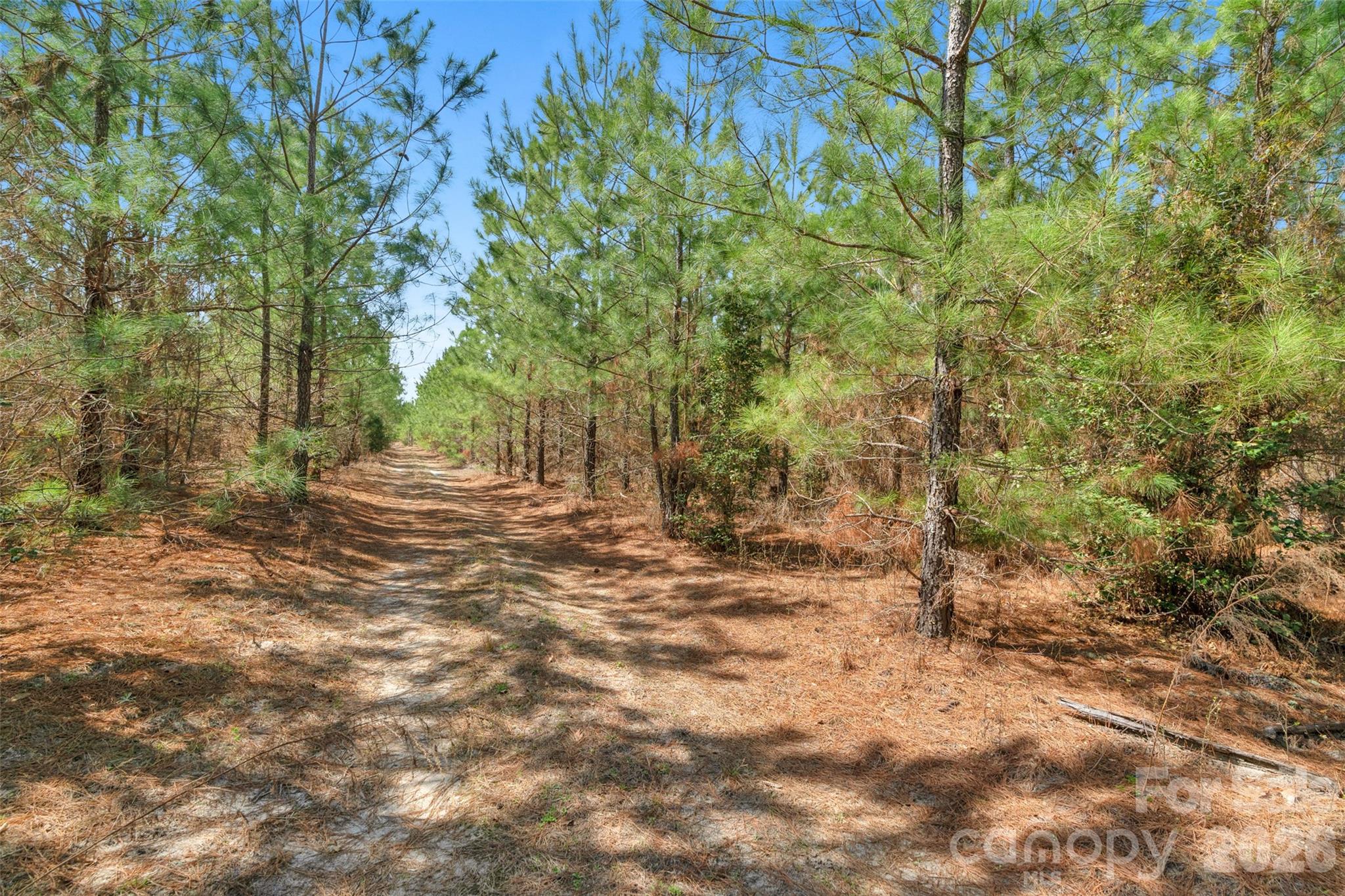 931 Charlie Johnson Road, Unit 7 Kershaw, SC 29067 - Photo 11 of 34