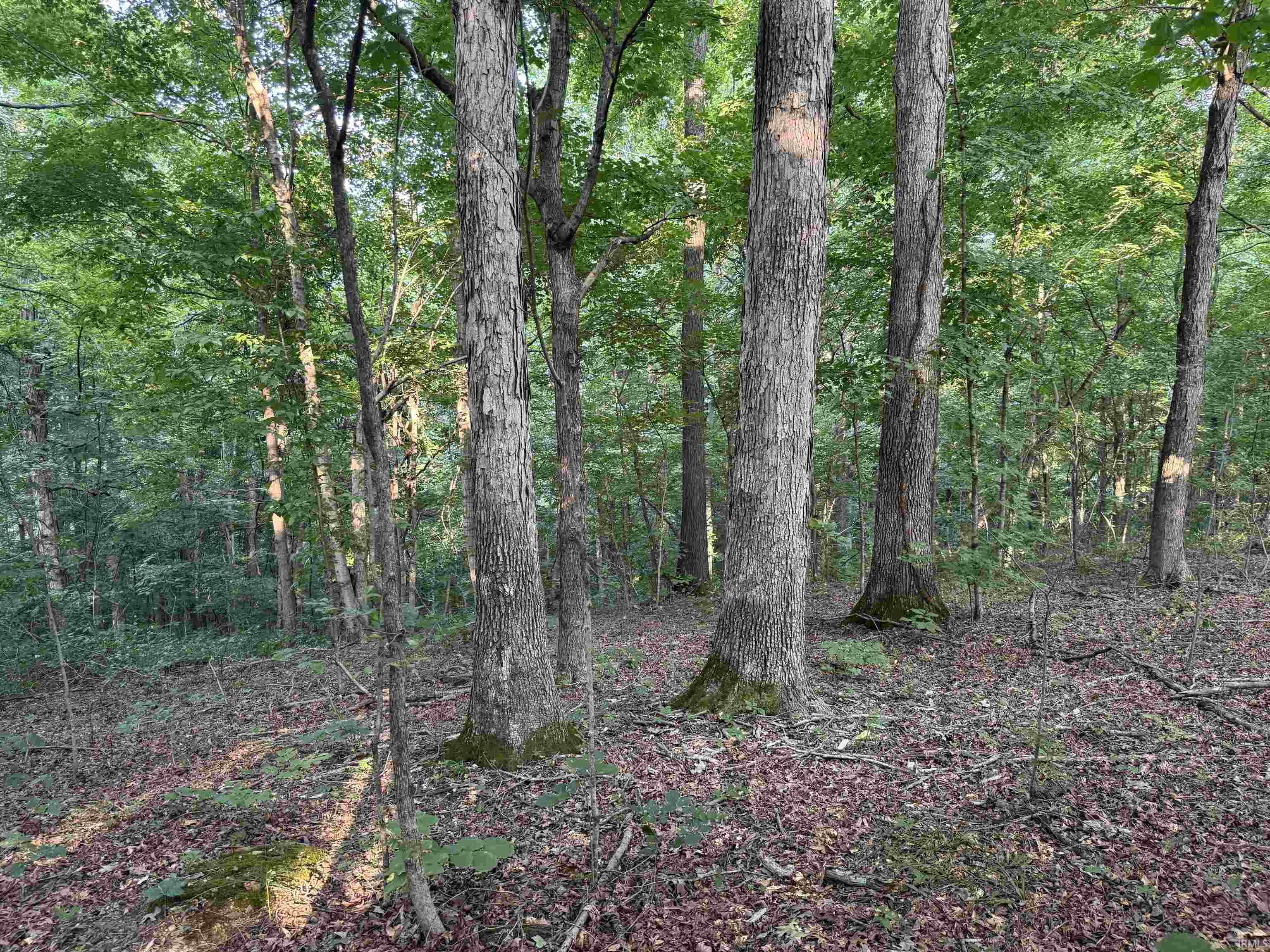 Brushy Fork Road Tell City, IN 47586 - Photo 6 of 47 Gallery Image 6