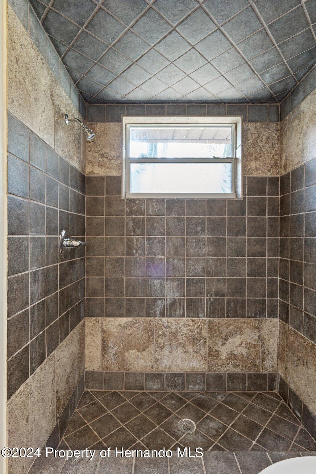 9290 Eldridge Road Spring Hill, FL 34608 - Photo 28 of 55 28-web-or-mls-DSC03733