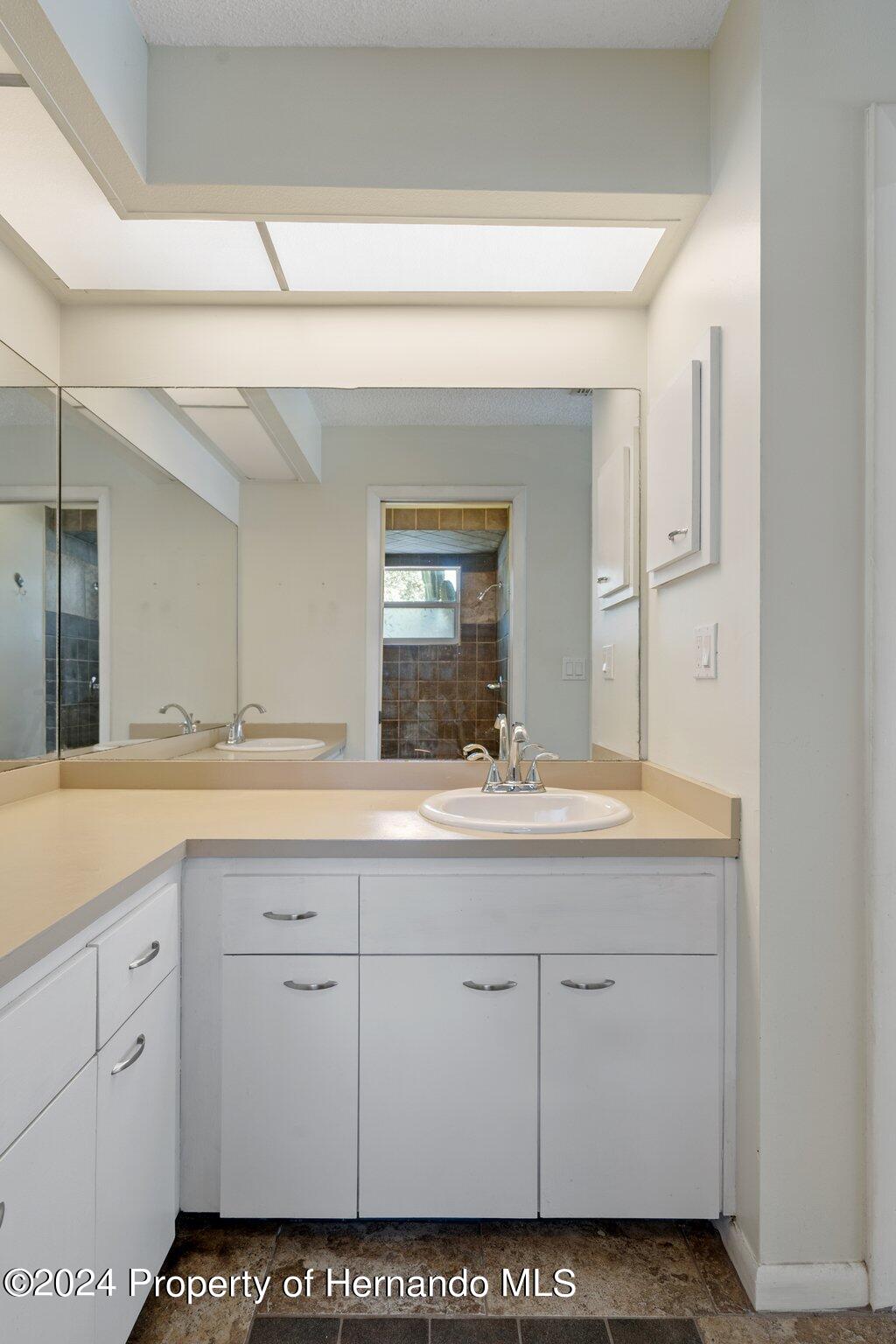 9290 Eldridge Road Spring Hill, FL 34608 - Photo 29 of 55 a bathroom with a sink and a mirror