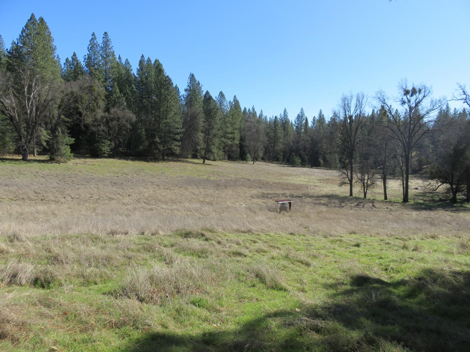 21482 State Rte 26 West Point, CA 95255 - Photo 1 of 1