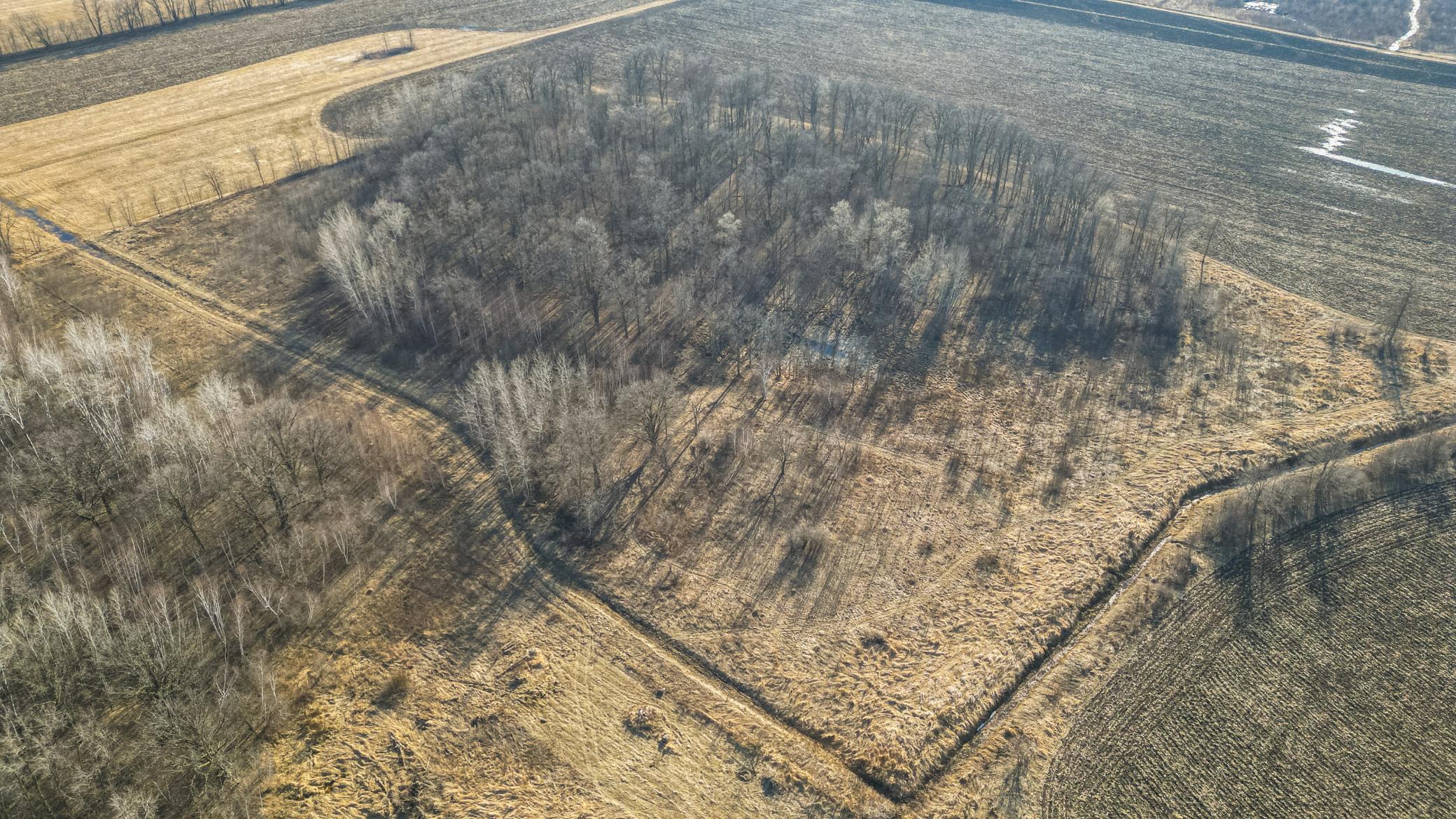 Tbd 73rd Street Hillman, MN 56338 - Photo 12 of 57