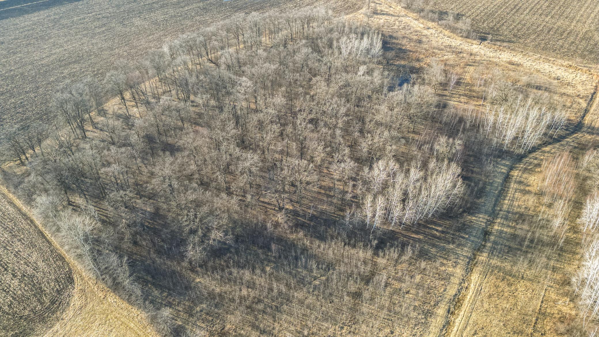 Tbd 73rd Street Hillman, MN 56338 - Photo 13 of 57