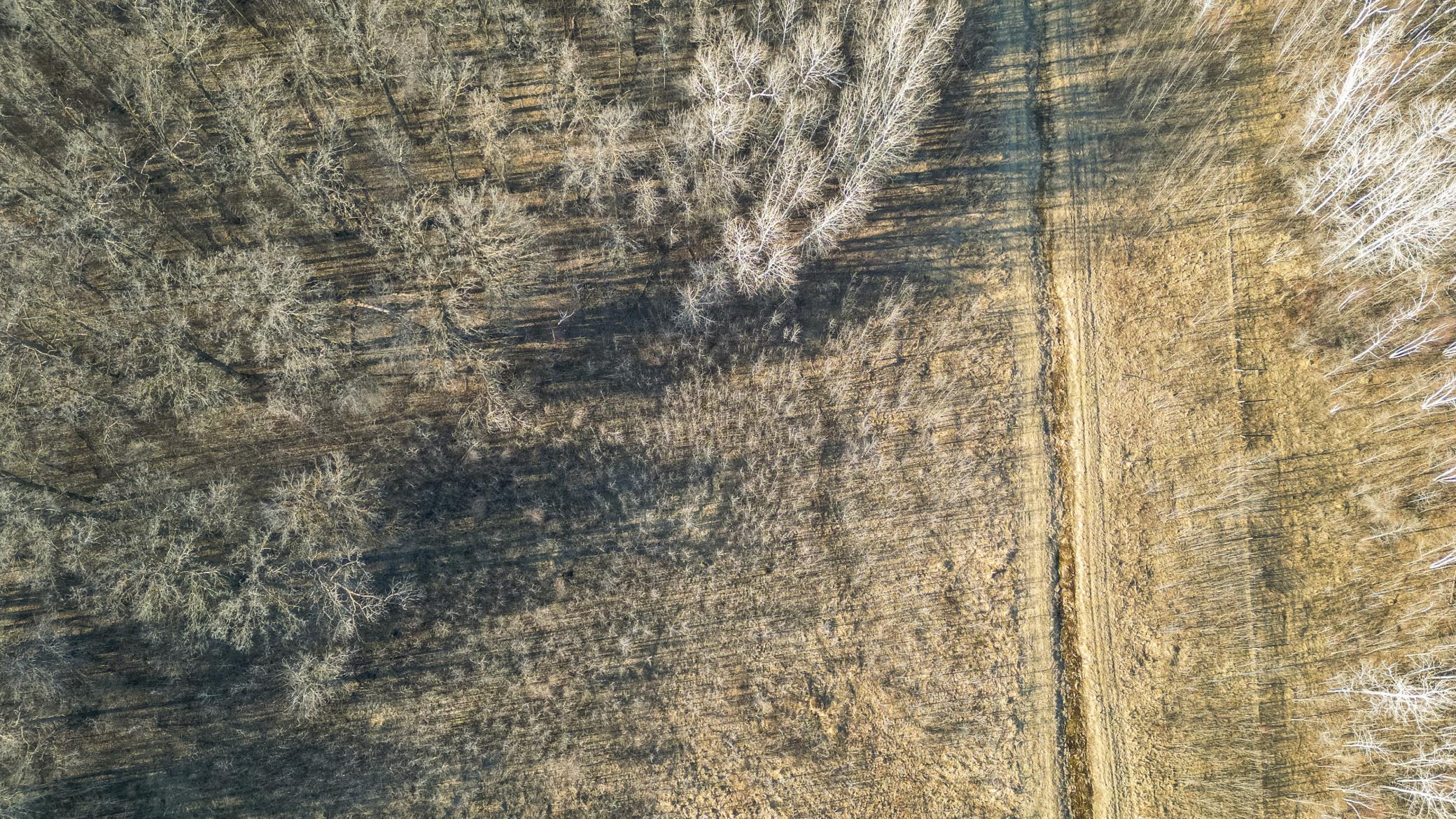 Tbd 73rd Street Hillman, MN 56338 - Photo 14 of 57