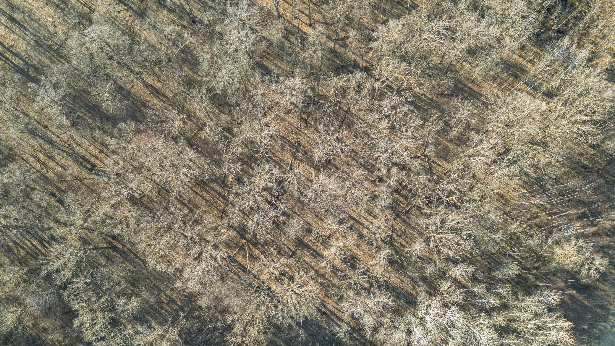 Tbd 73rd Street Hillman, MN 56338 - Photo 15 of 57