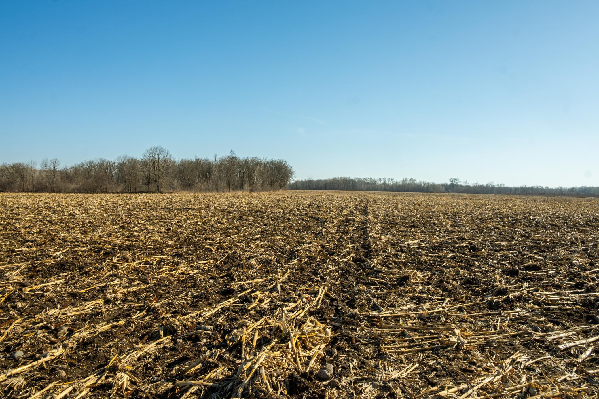 Tbd 73rd Street Hillman, MN 56338 - Photo 17 of 57