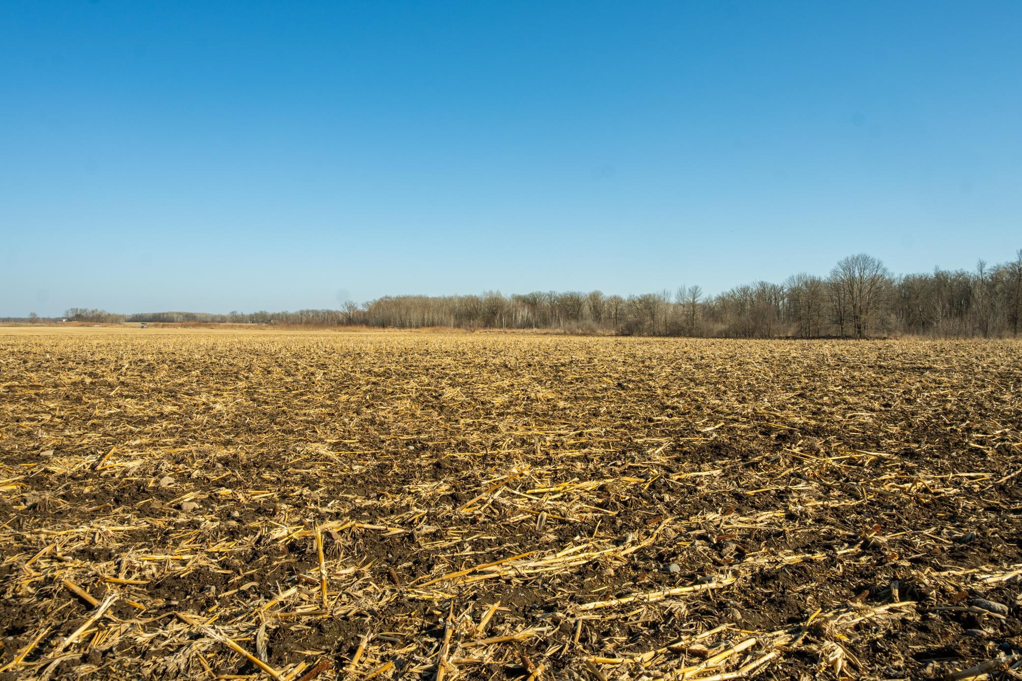 Tbd 73rd Street Hillman, MN 56338 - Photo 18 of 57