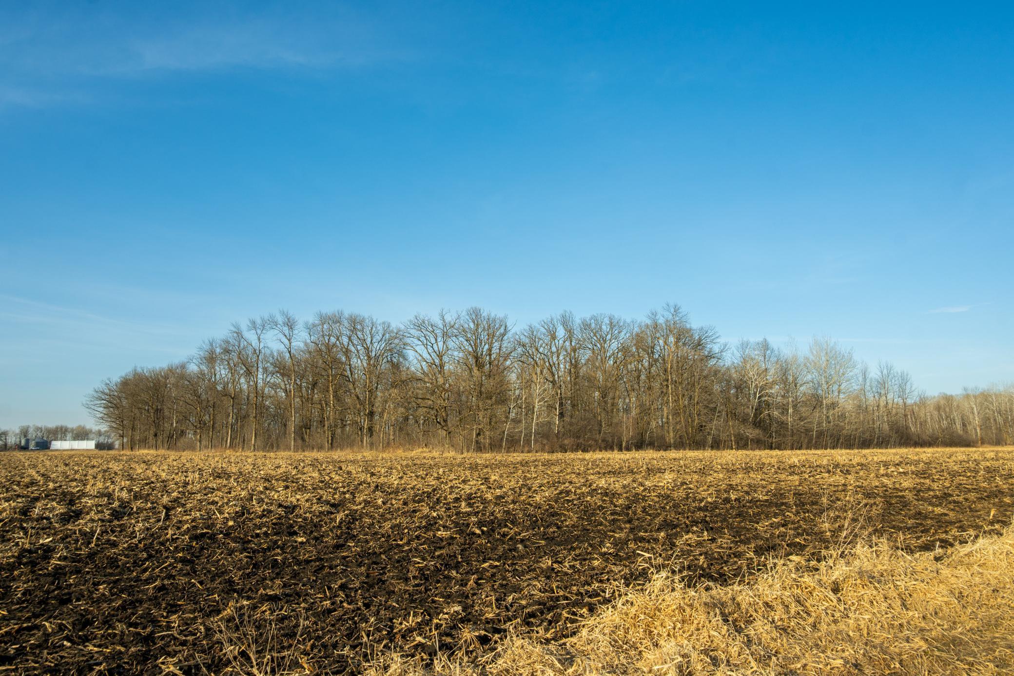 Tbd 73rd Street Hillman, MN 56338 - Photo 20 of 57