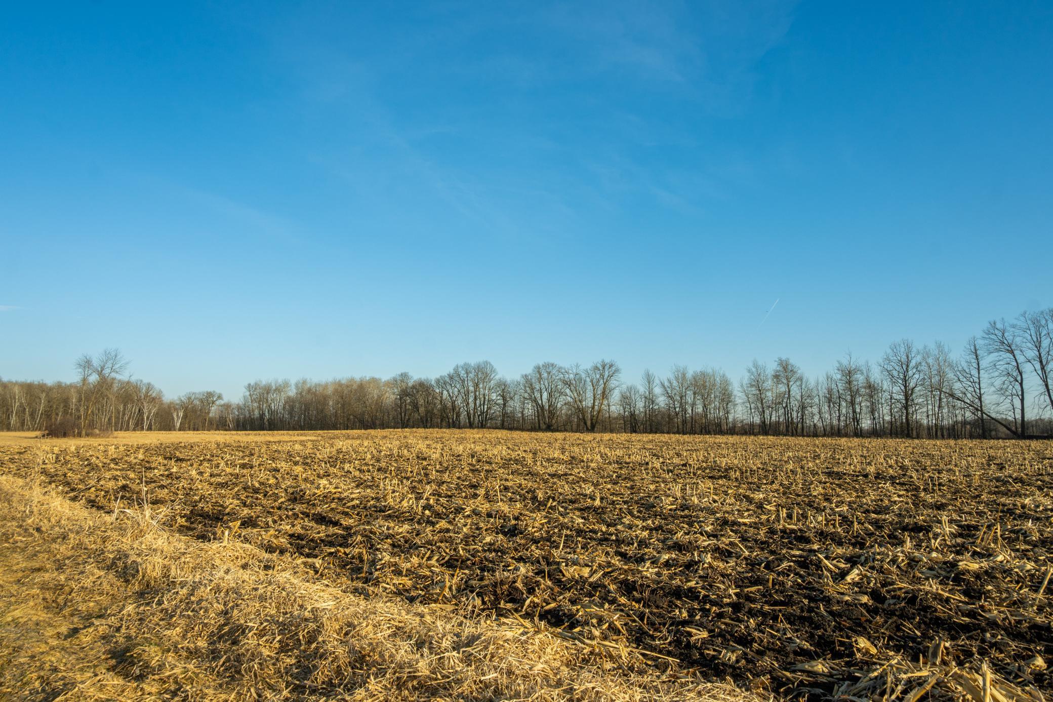 Tbd 73rd Street Hillman, MN 56338 - Photo 21 of 57
