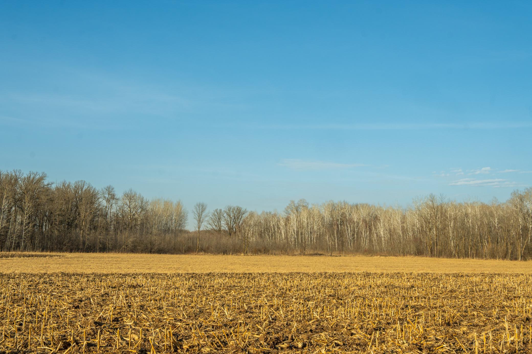 Tbd 73rd Street Hillman, MN 56338 - Photo 22 of 57