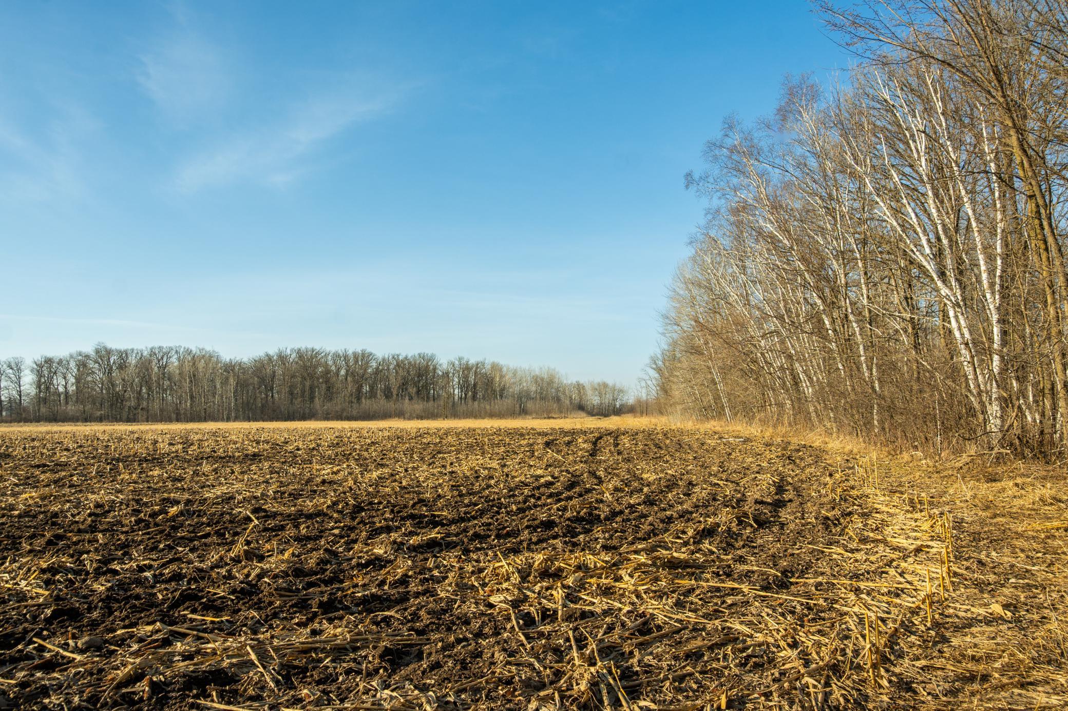 Tbd 73rd Street Hillman, MN 56338 - Photo 23 of 57