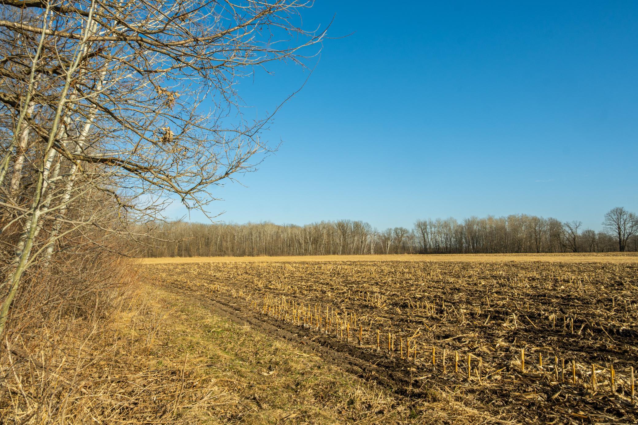 Tbd 73rd Street Hillman, MN 56338 - Photo 24 of 57