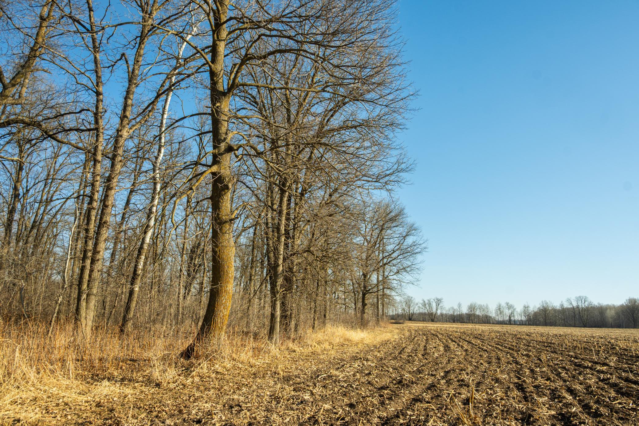 Tbd 73rd Street Hillman, MN 56338 - Photo 25 of 57