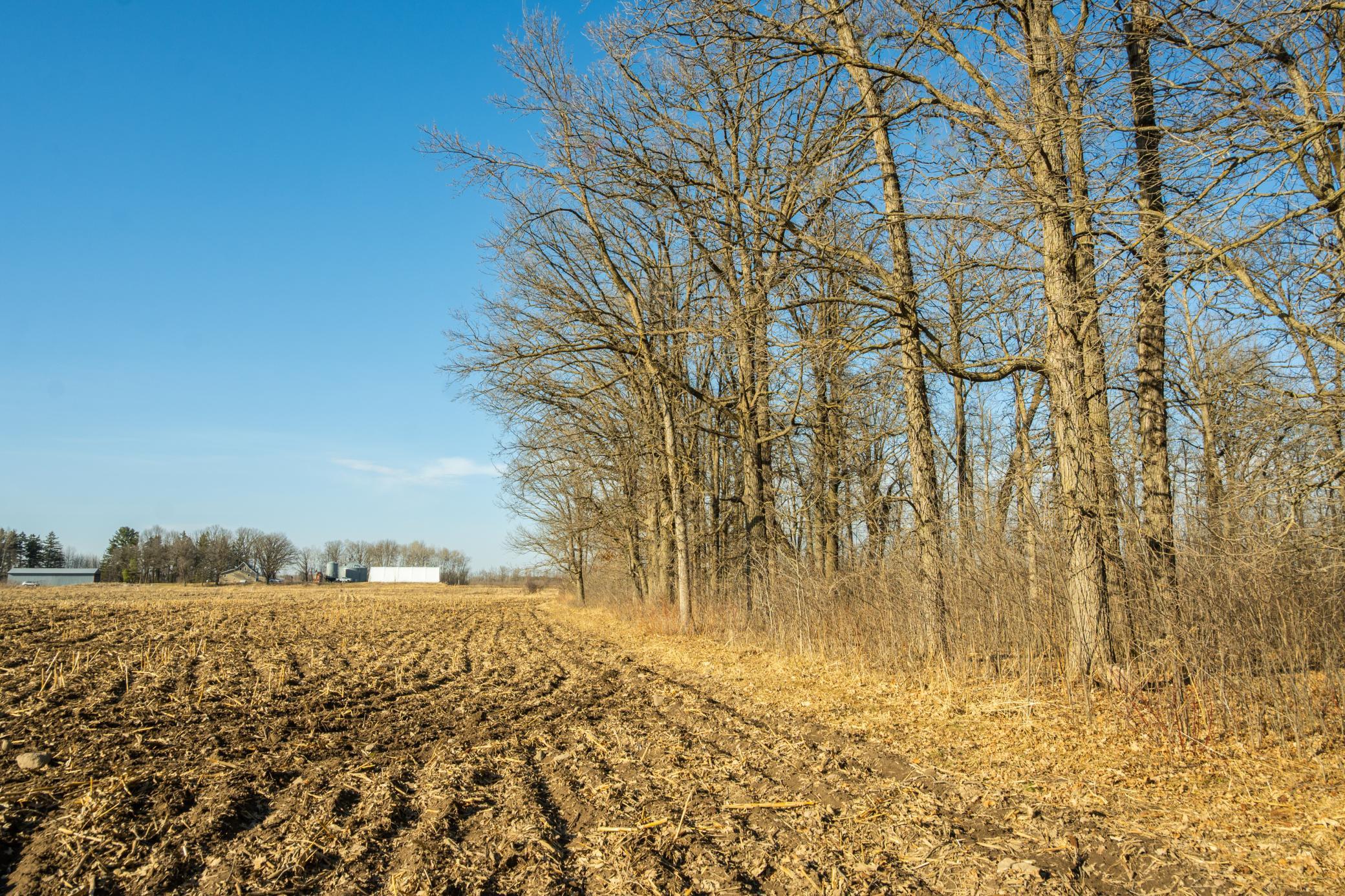 Tbd 73rd Street Hillman, MN 56338 - Photo 26 of 57