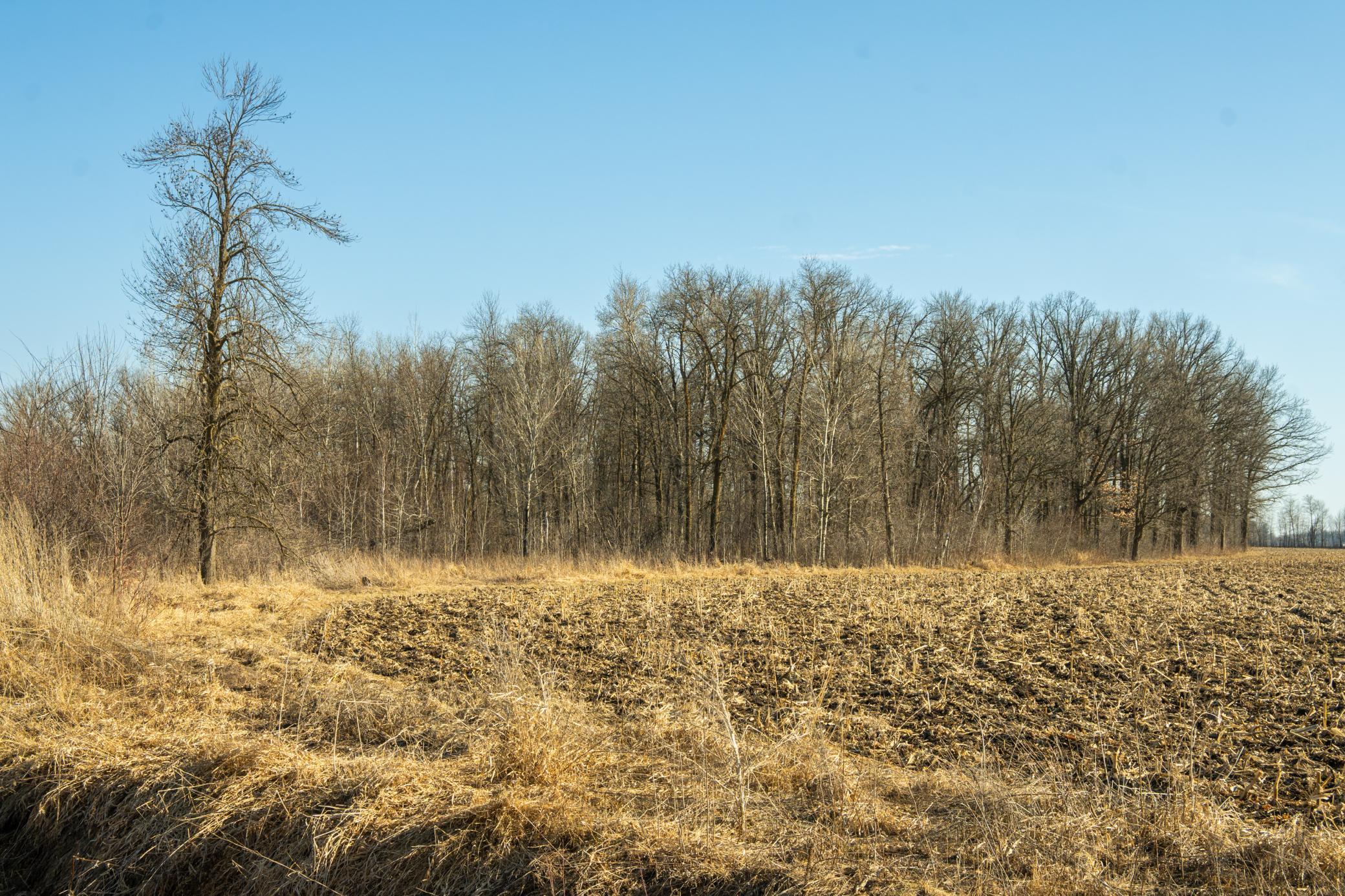 Tbd 73rd Street Hillman, MN 56338 - Photo 27 of 57