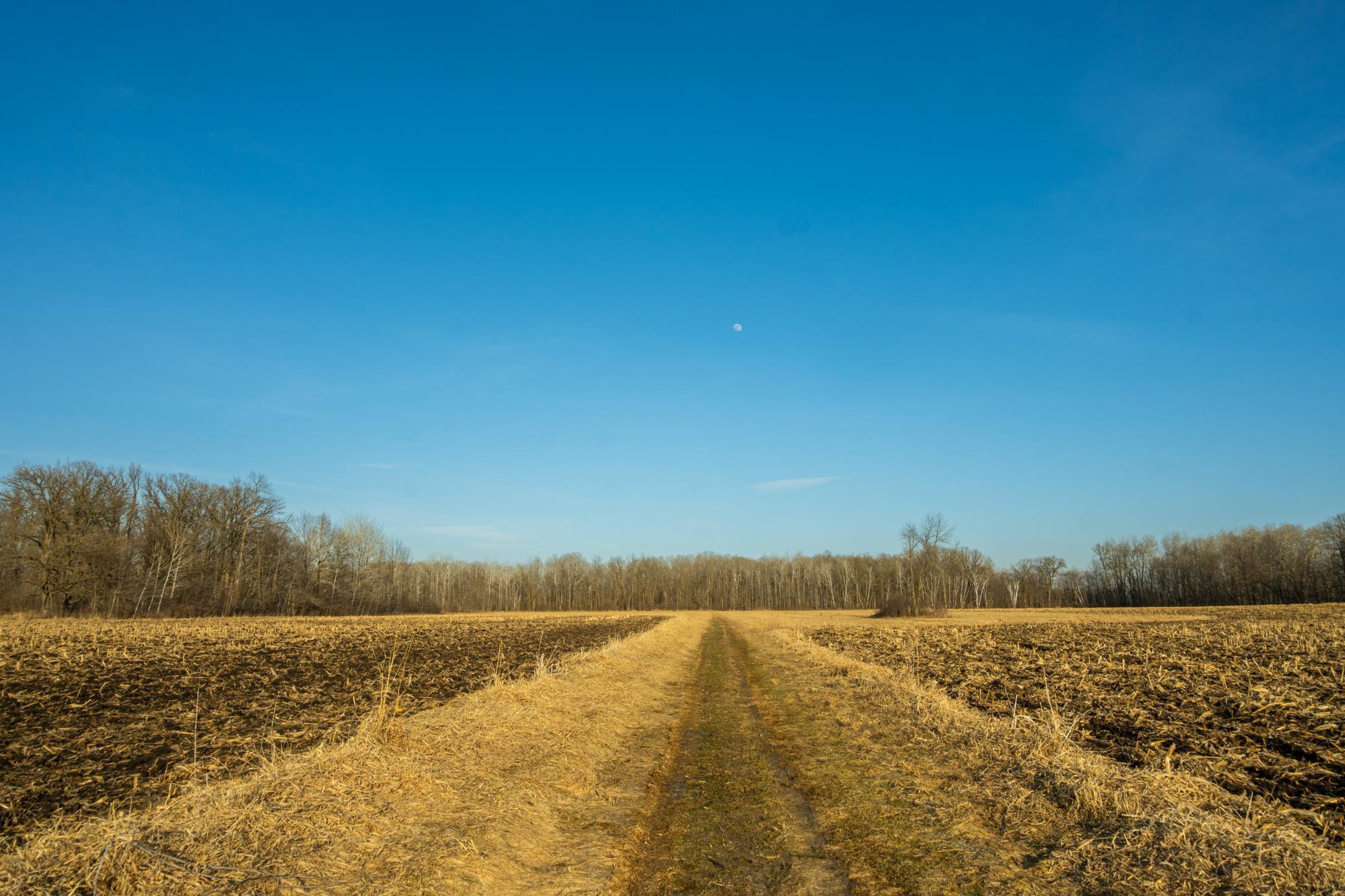 Tbd 73rd Street Hillman, MN 56338 - Photo 28 of 57