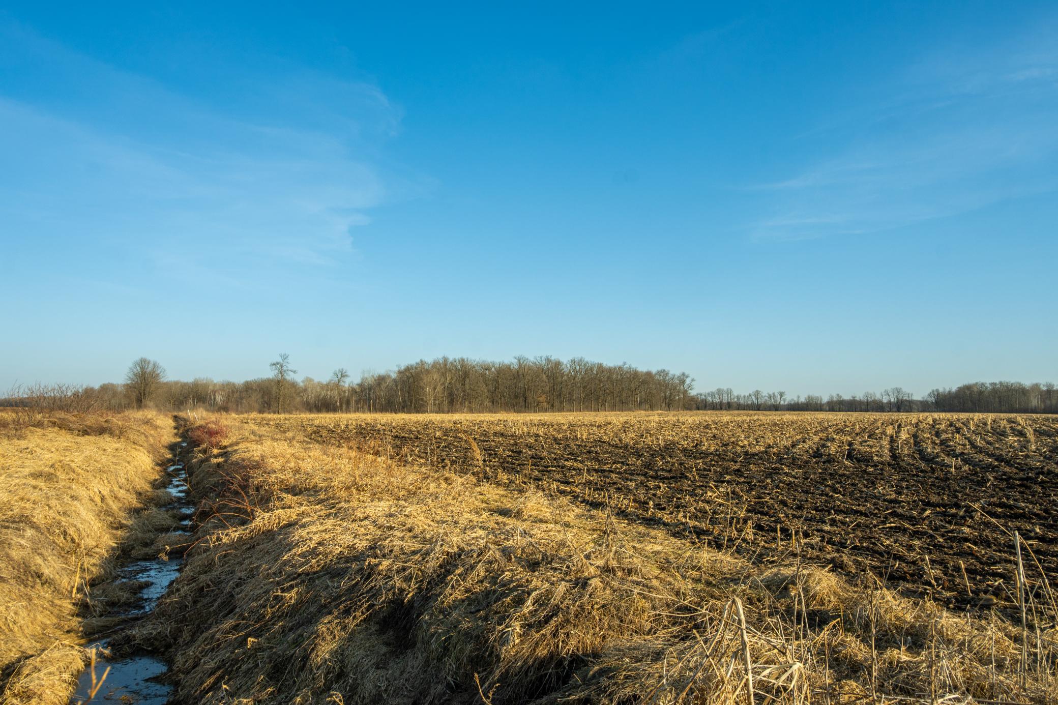 Tbd 73rd Street Hillman, MN 56338 - Photo 29 of 57