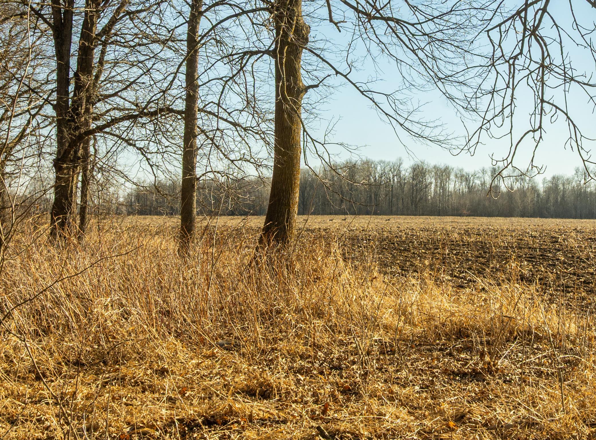 Tbd 73rd Street Hillman, MN 56338 - Photo 30 of 57