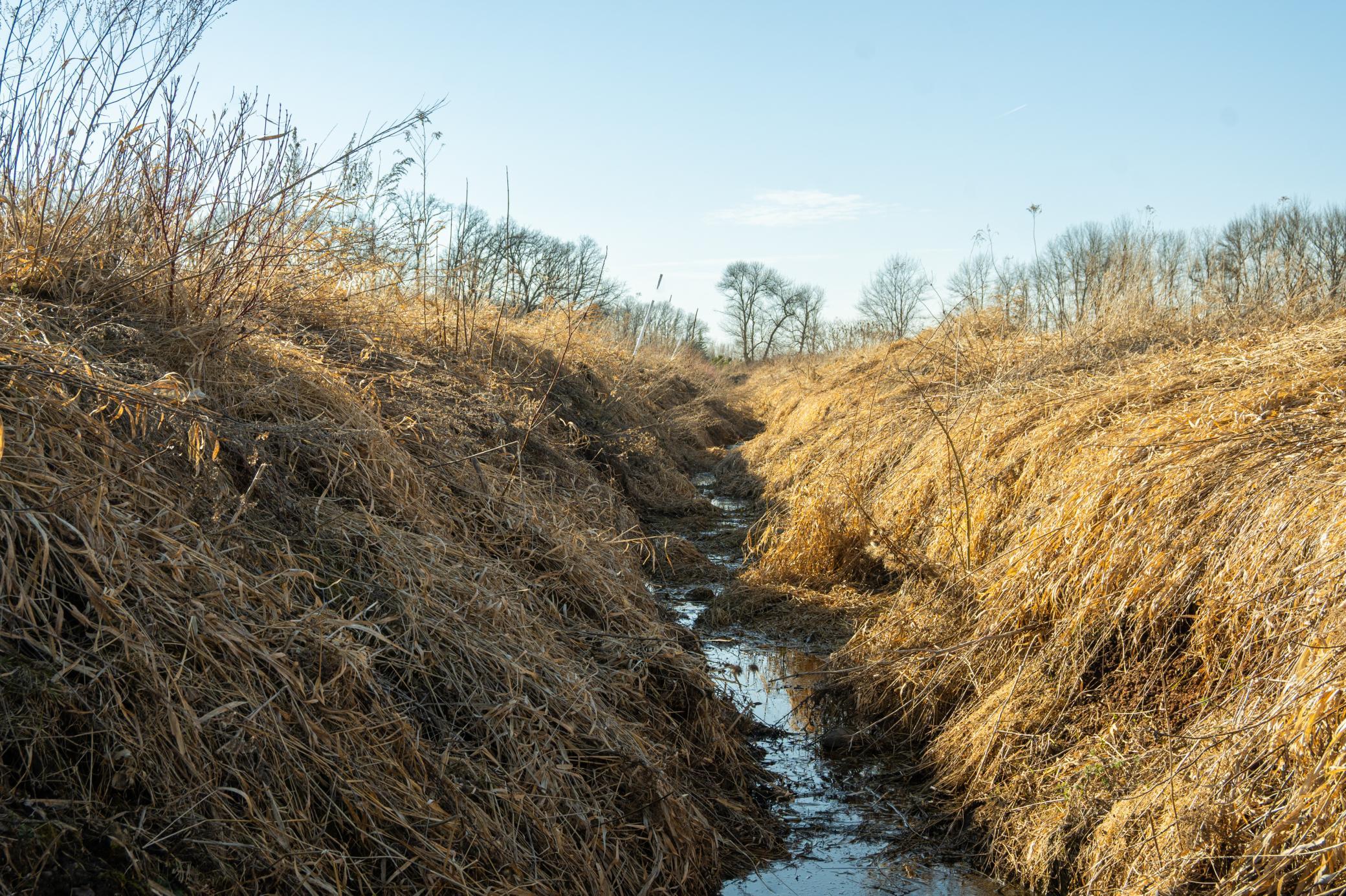 Tbd 73rd Street Hillman, MN 56338 - Photo 32 of 57