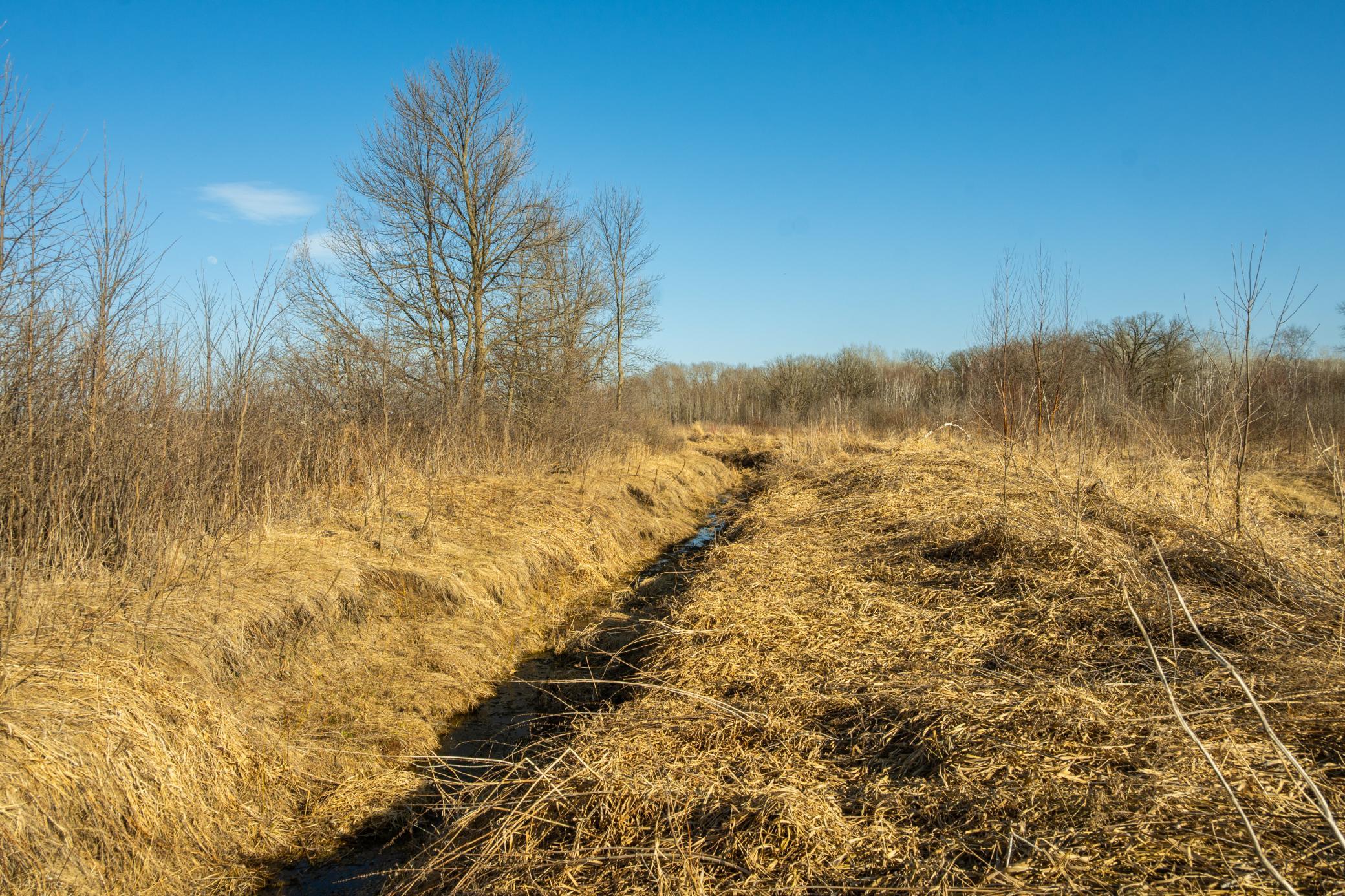 Tbd 73rd Street Hillman, MN 56338 - Photo 33 of 57