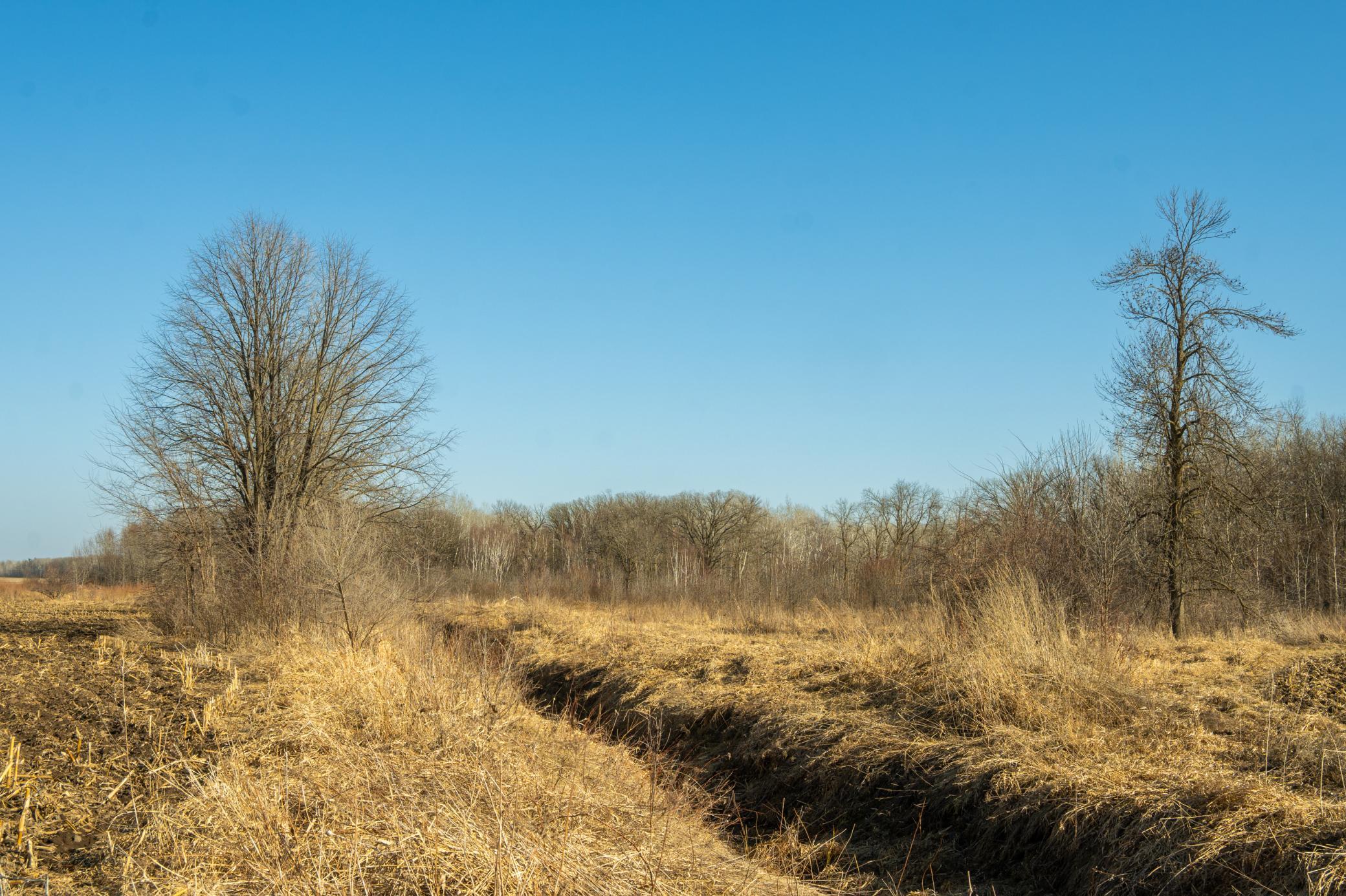Tbd 73rd Street Hillman, MN 56338 - Photo 34 of 57