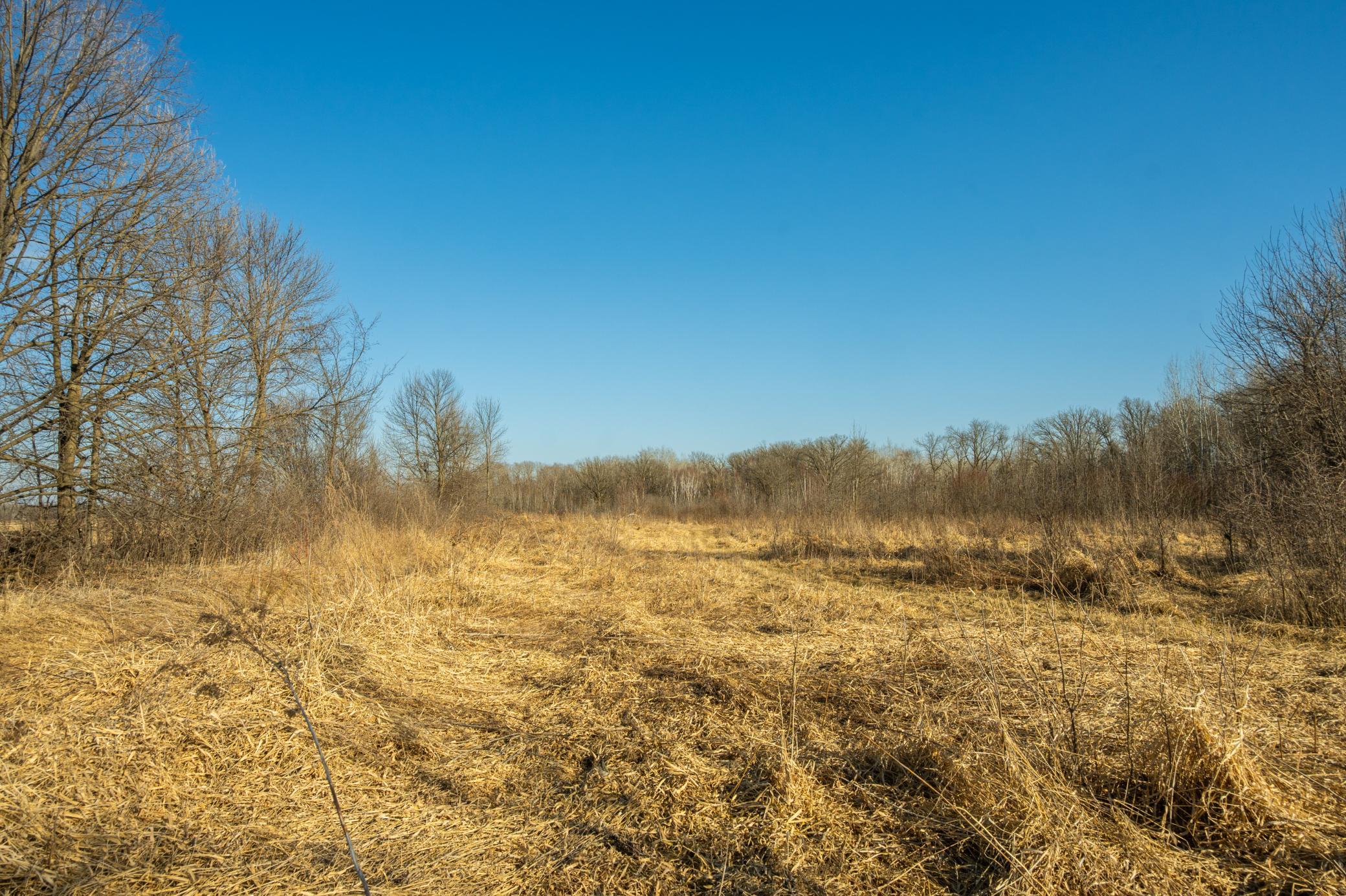 Tbd 73rd Street Hillman, MN 56338 - Photo 35 of 57