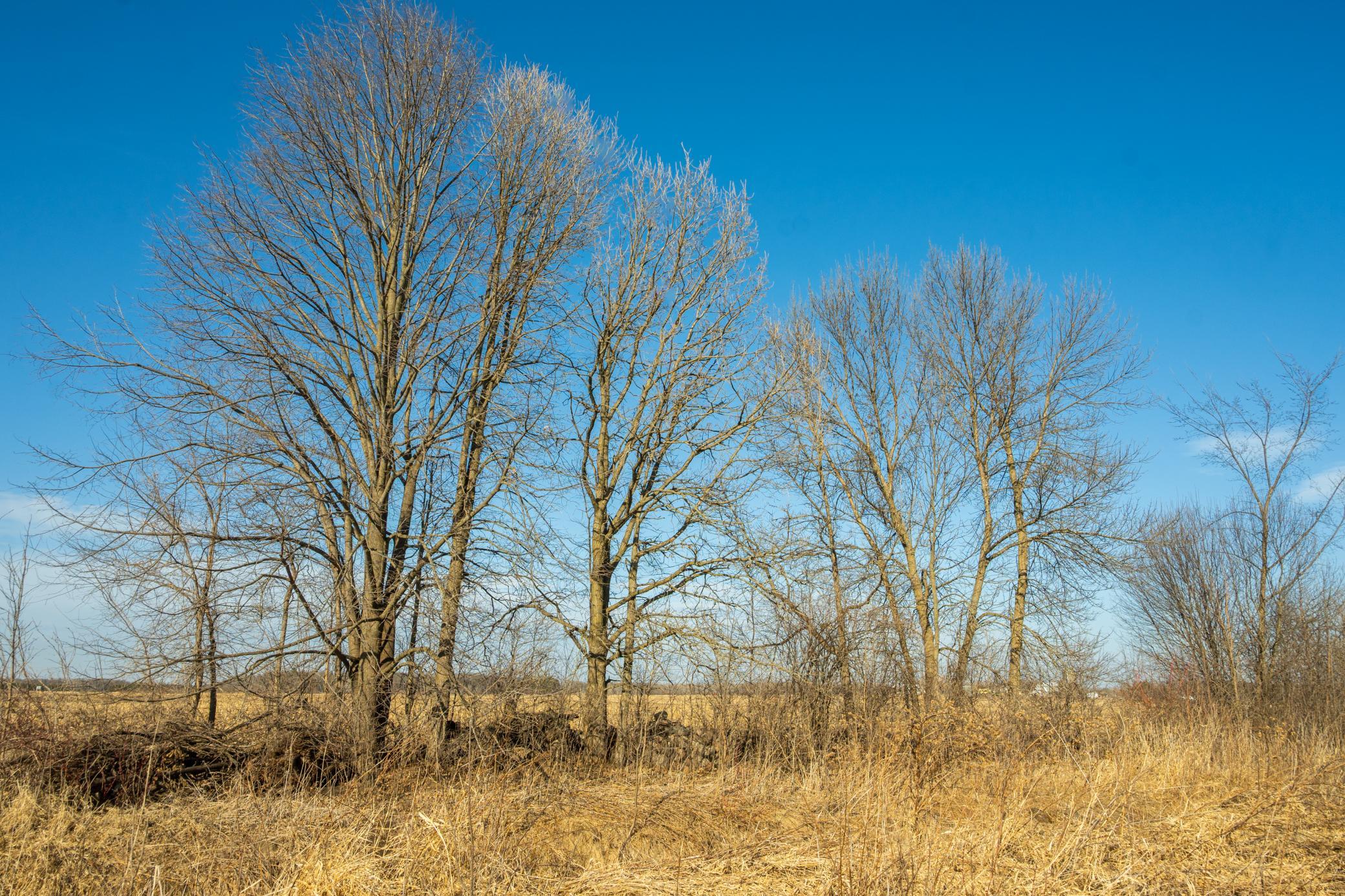 Tbd 73rd Street Hillman, MN 56338 - Photo 36 of 57