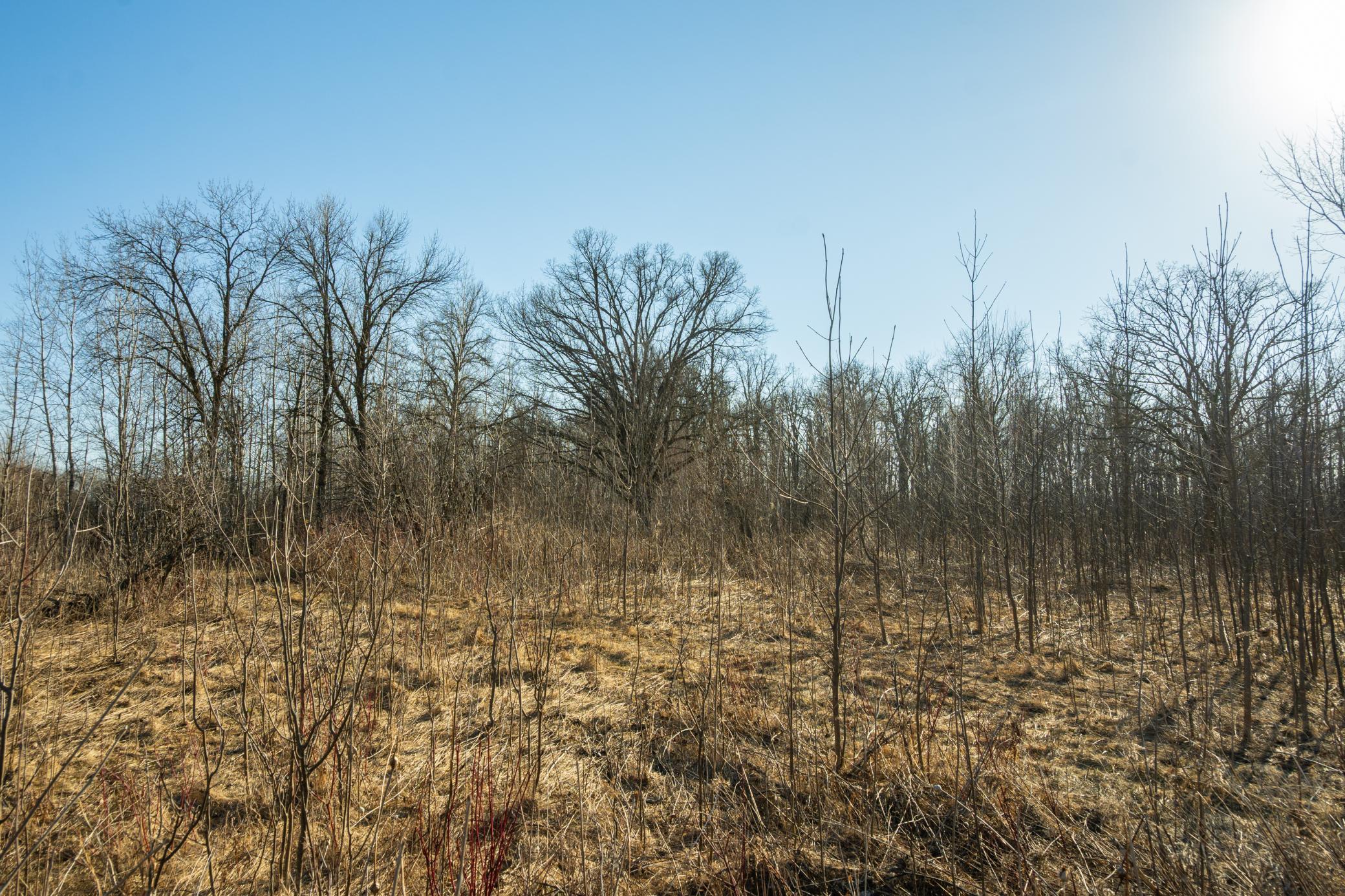 Tbd 73rd Street Hillman, MN 56338 - Photo 37 of 57