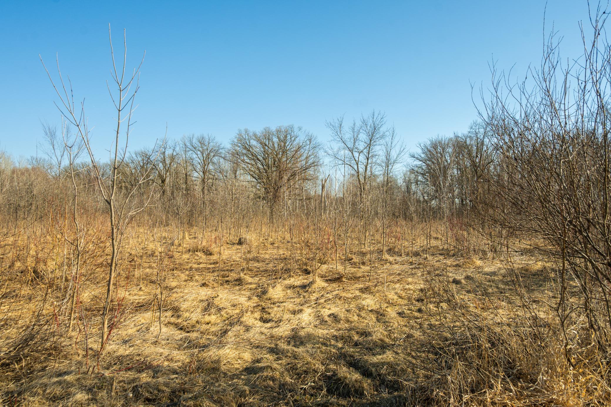 Tbd 73rd Street Hillman, MN 56338 - Photo 38 of 57