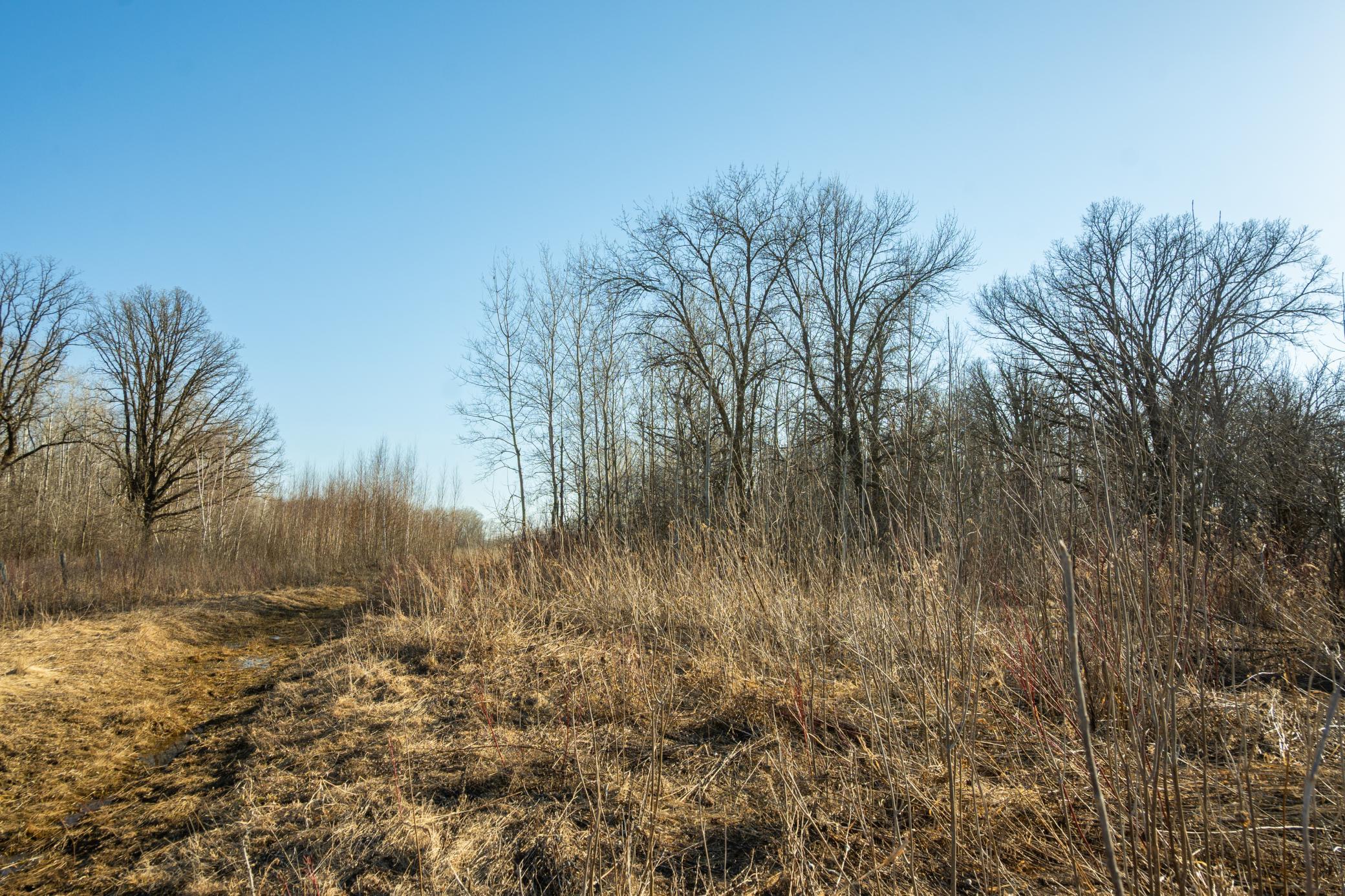 Tbd 73rd Street Hillman, MN 56338 - Photo 39 of 57