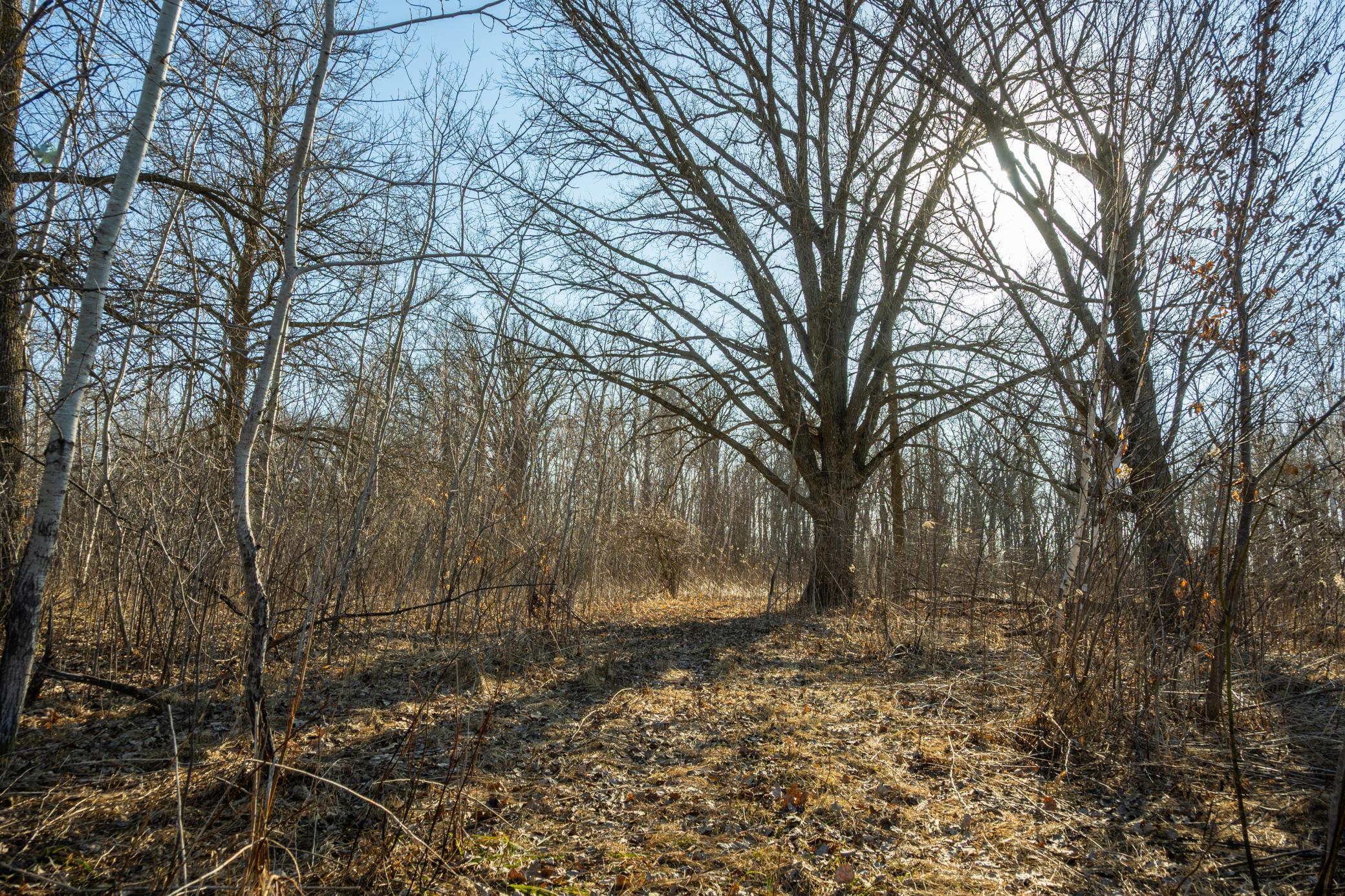 Tbd 73rd Street Hillman, MN 56338 - Photo 40 of 57