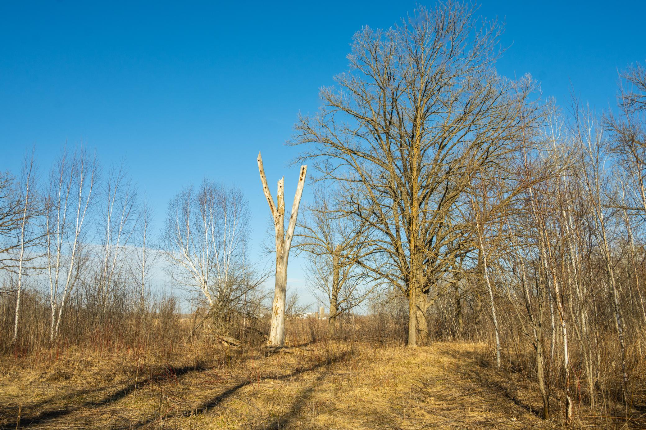 Tbd 73rd Street Hillman, MN 56338 - Photo 41 of 57