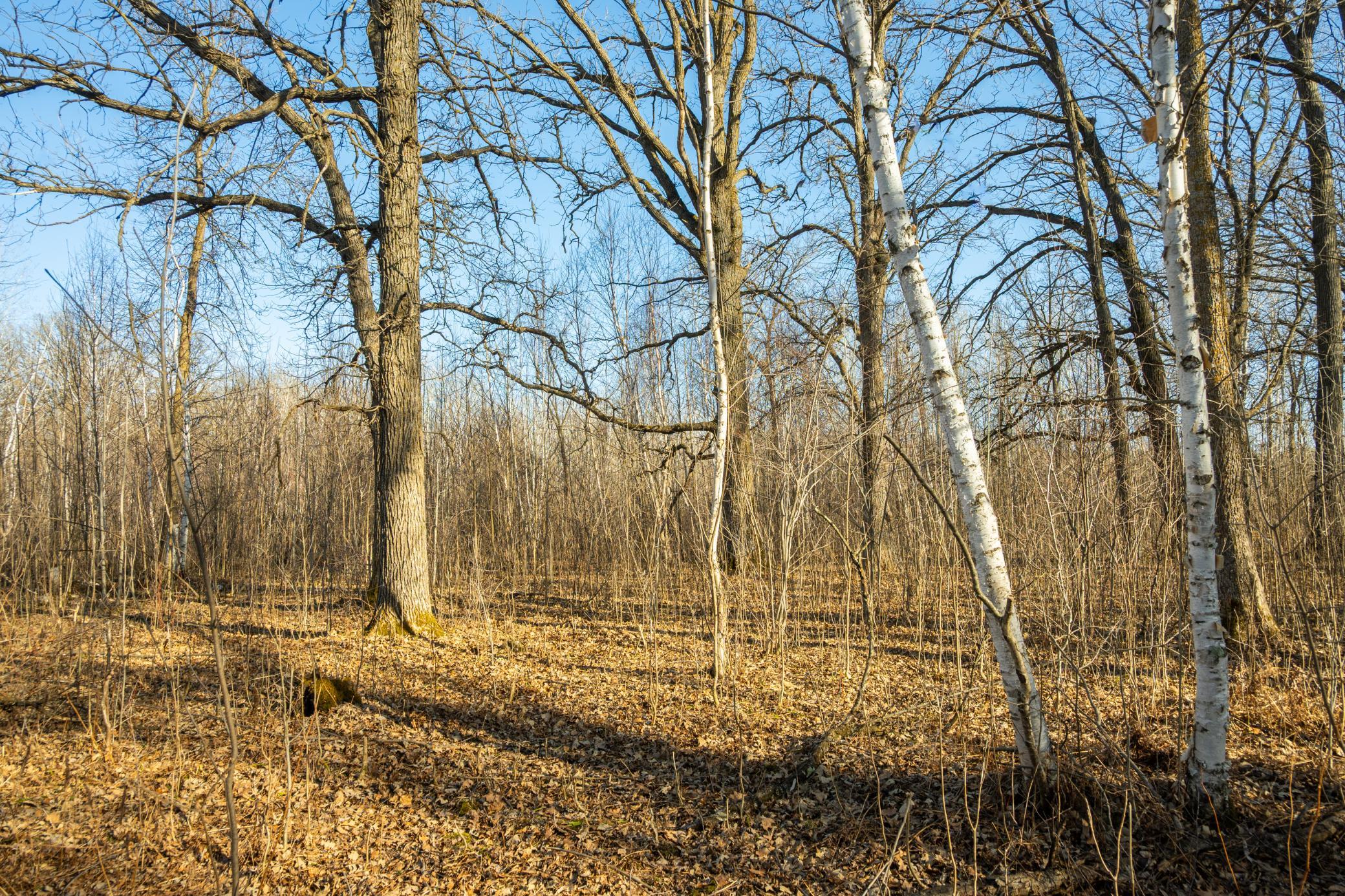 Tbd 73rd Street Hillman, MN 56338 - Photo 42 of 57