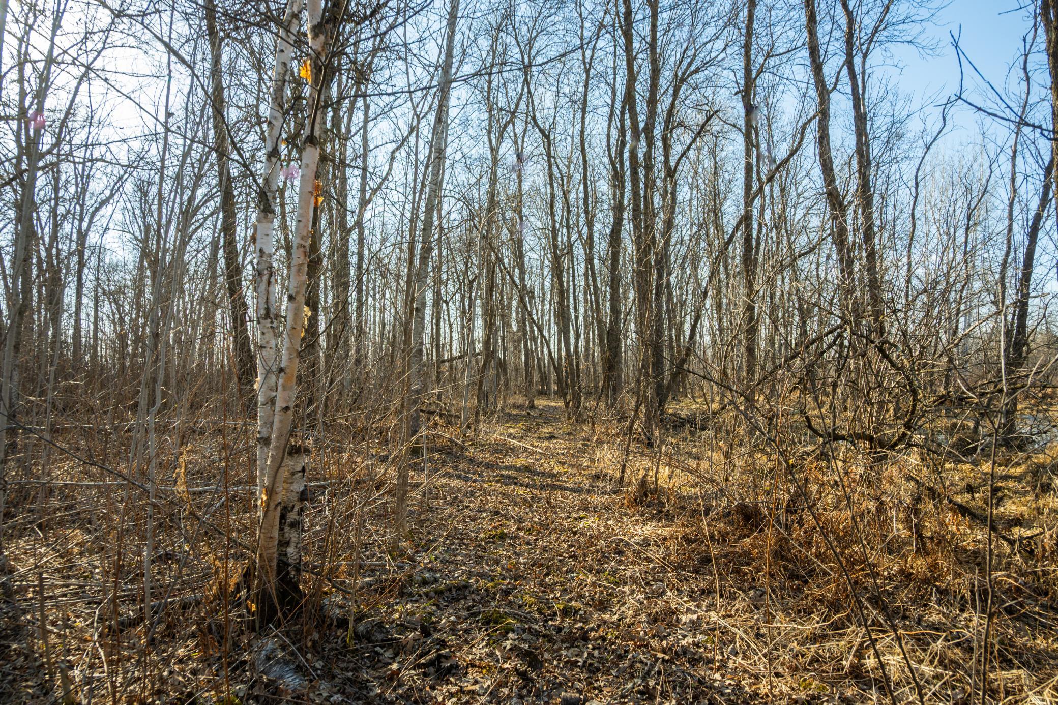 Tbd 73rd Street Hillman, MN 56338 - Photo 44 of 57