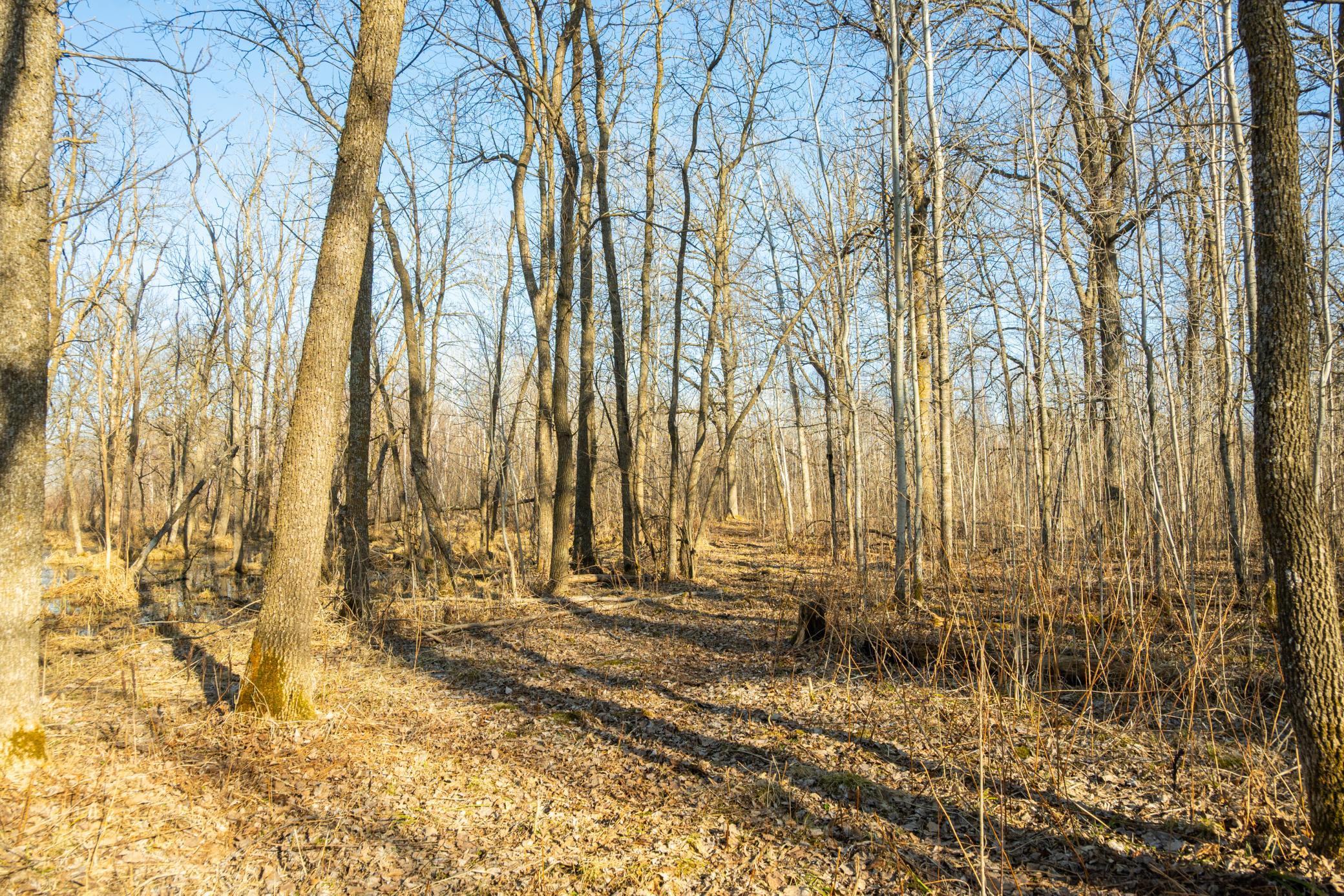 Tbd 73rd Street Hillman, MN 56338 - Photo 45 of 57