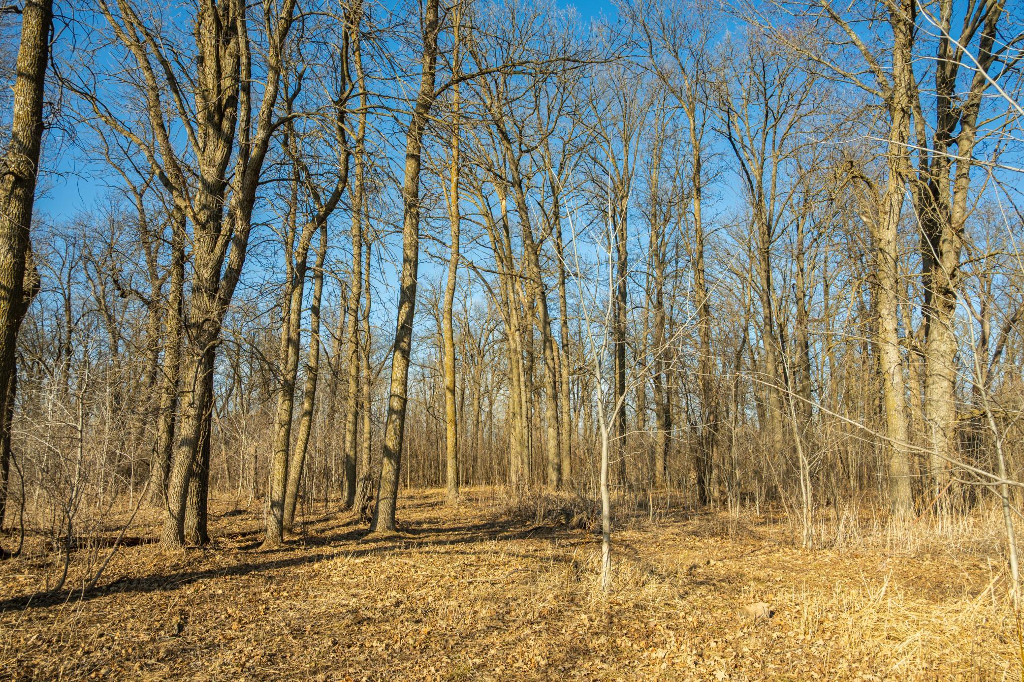 Tbd 73rd Street Hillman, MN 56338 - Photo 46 of 57